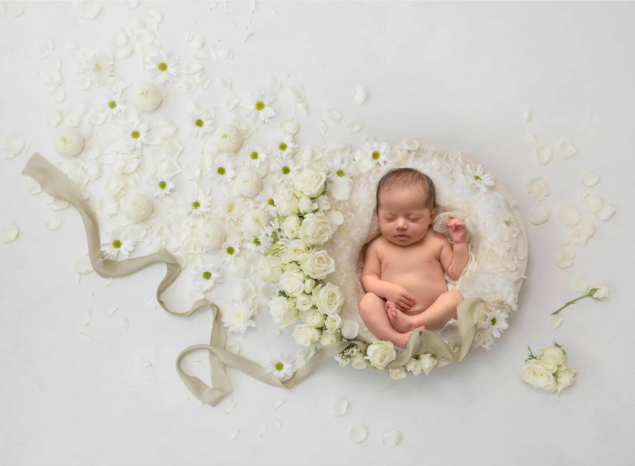 newborn photography rocky hill connecticut newborn photography rocky hill connecticut newborn photography rocky hill connecticut