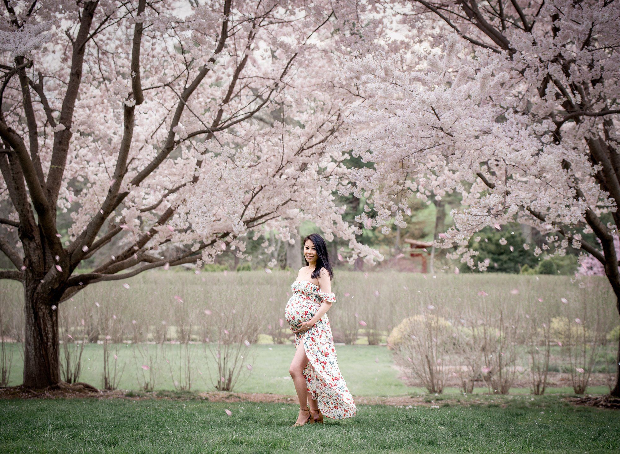 Spring Maternity Photos Manchester CT pregnant woman in floral maternity dress holding her stomach with weeping cherry trees in the background