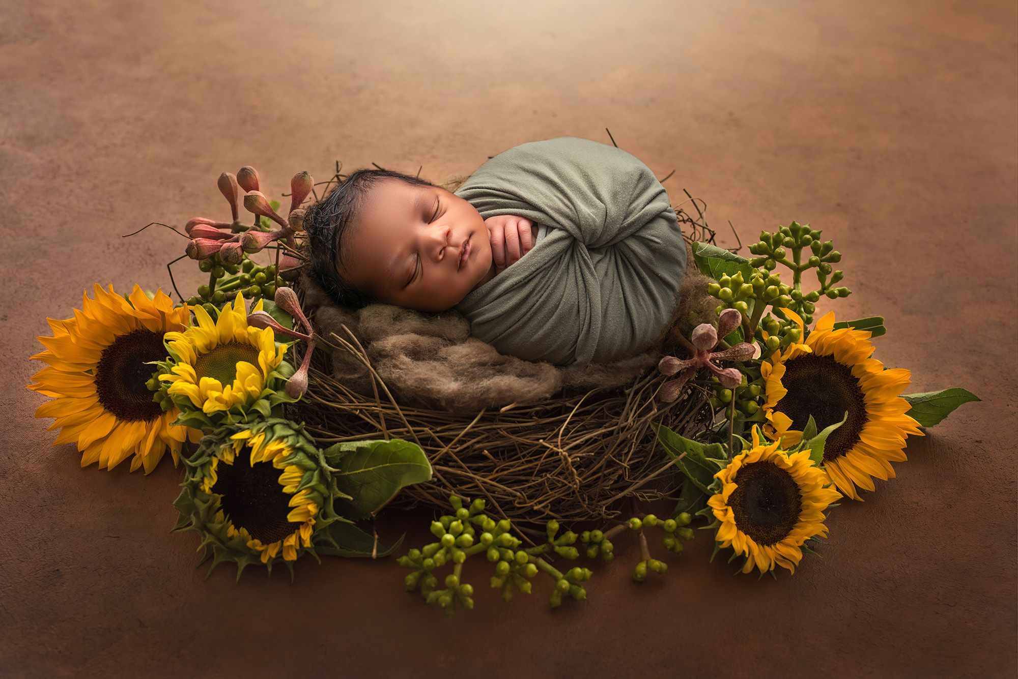 newborn photo studio newborn surrounded by sunflowers in a nest