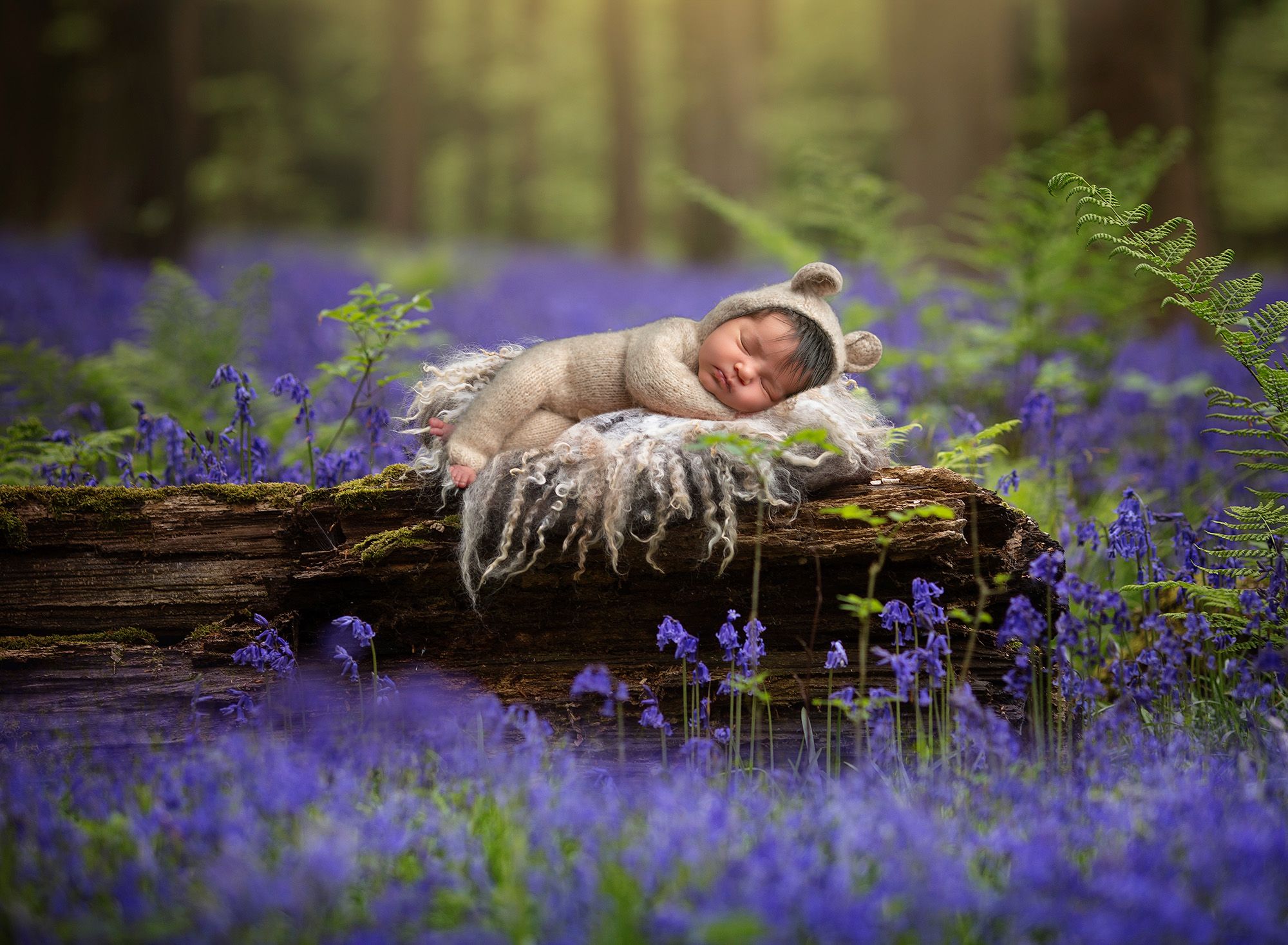 newborn baby girl asleep in forest of lavender wearing bear sweater romper
