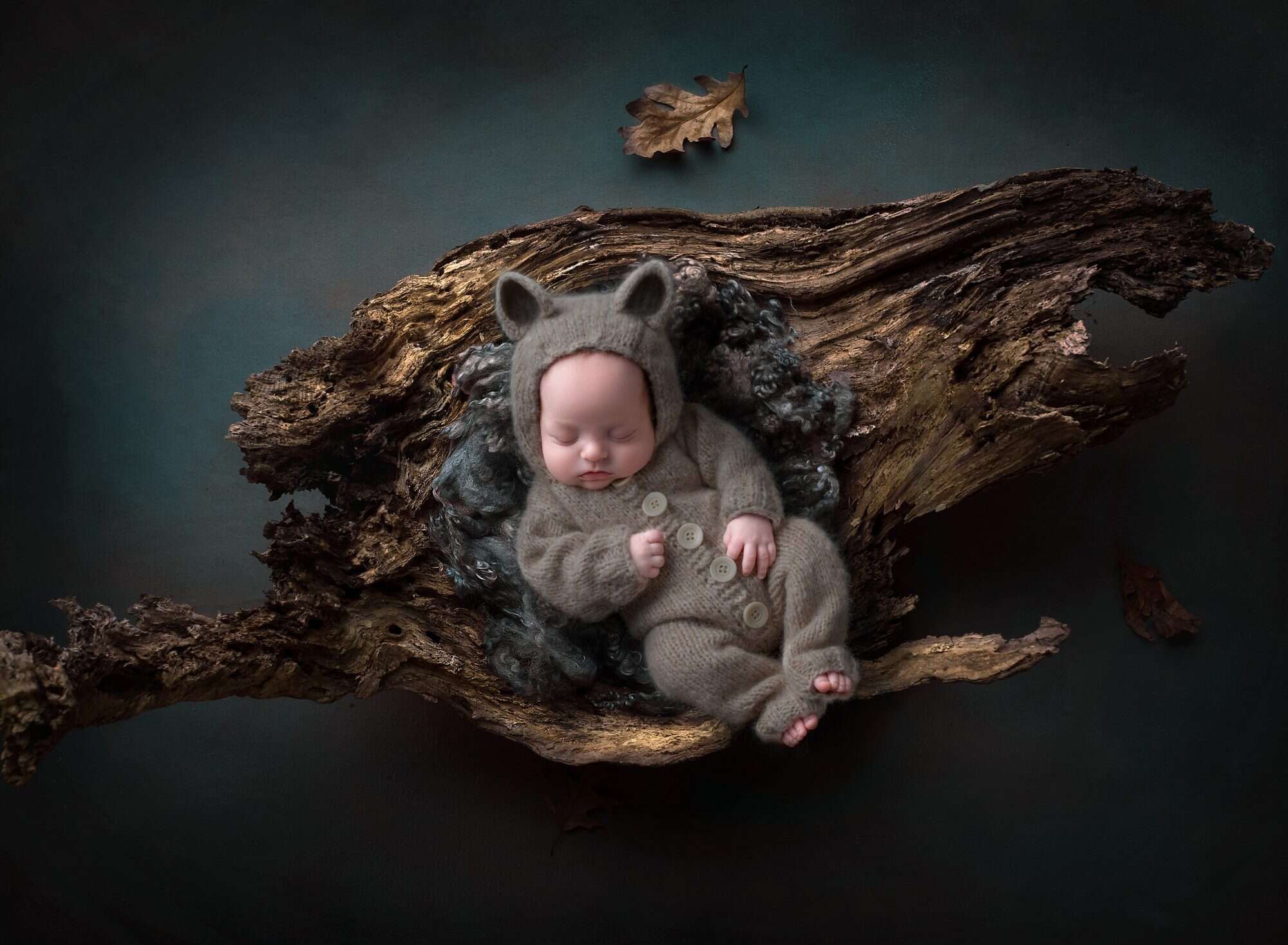 newborn photography hartford ct