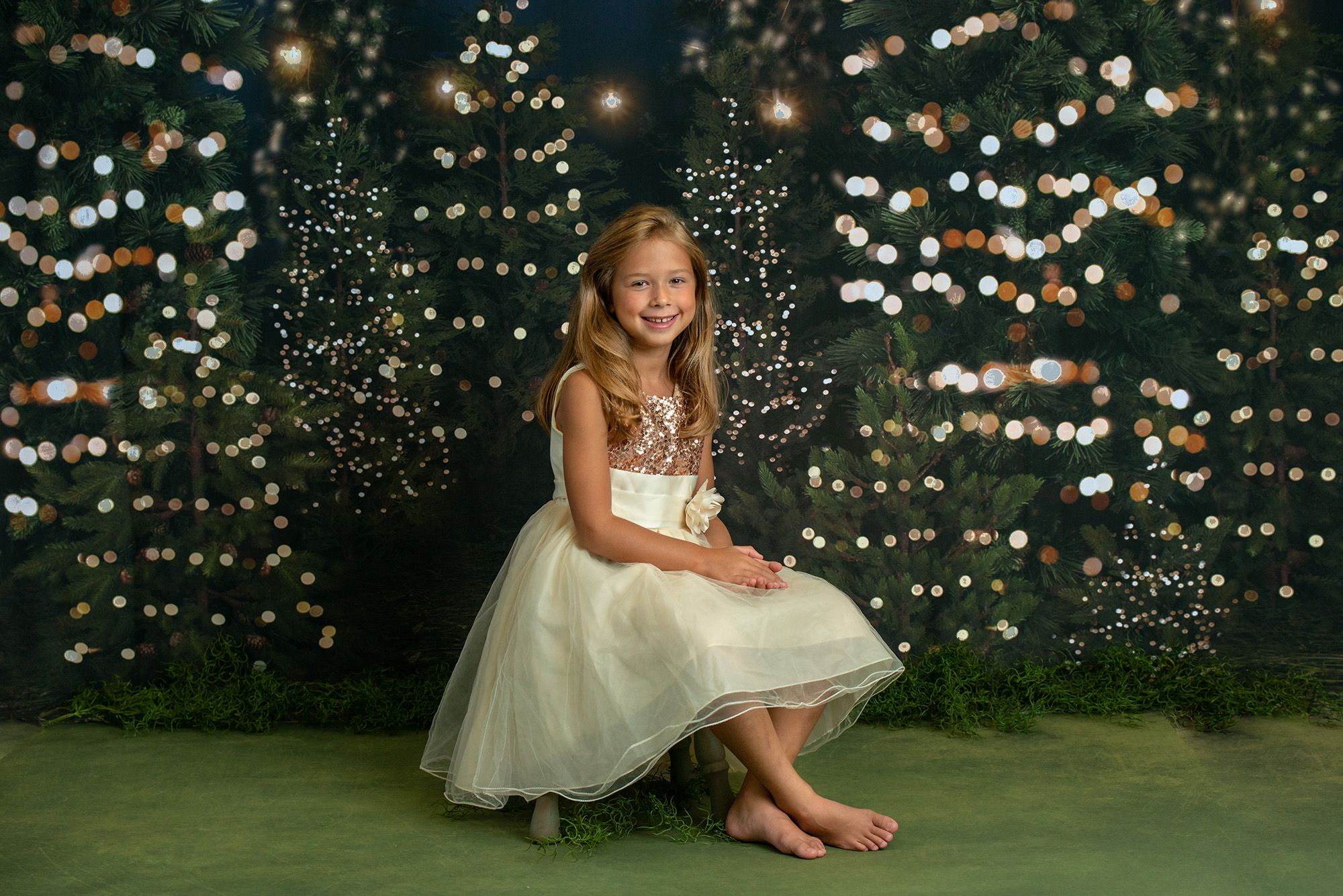 Holiday Mini Sessions Glastonbury CT