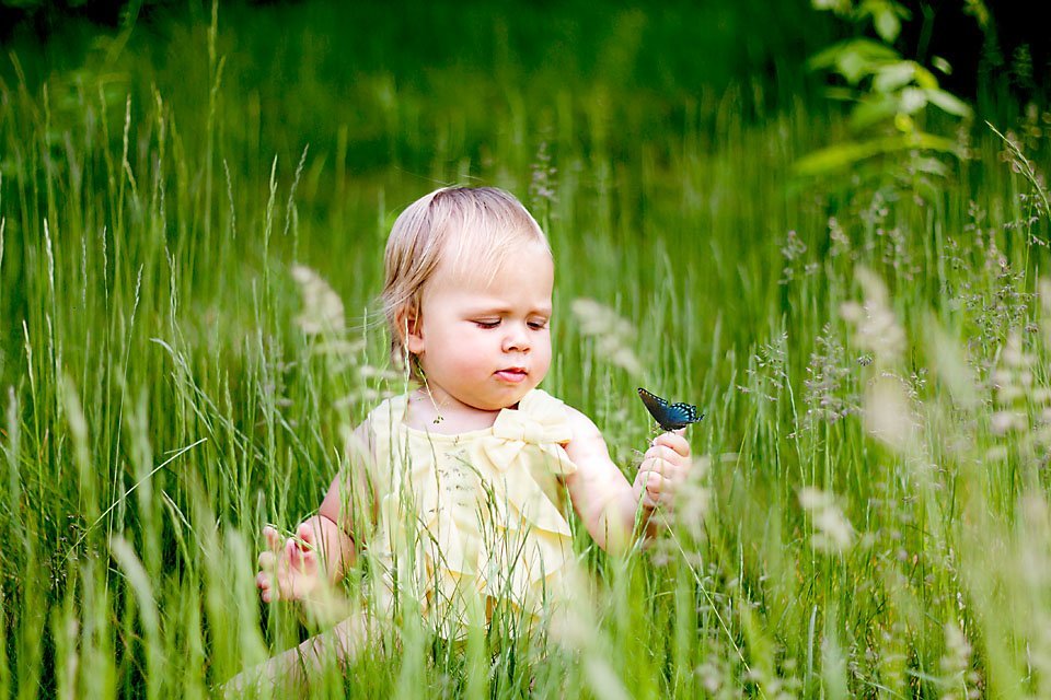 blonde baby girl in tall, green summer grass looking at a blue butterfly that has landed on her fingers