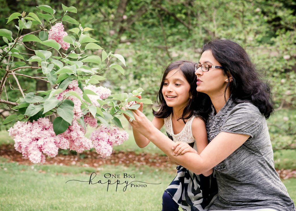 Mom and daughter pick pink hydrangea flowers
