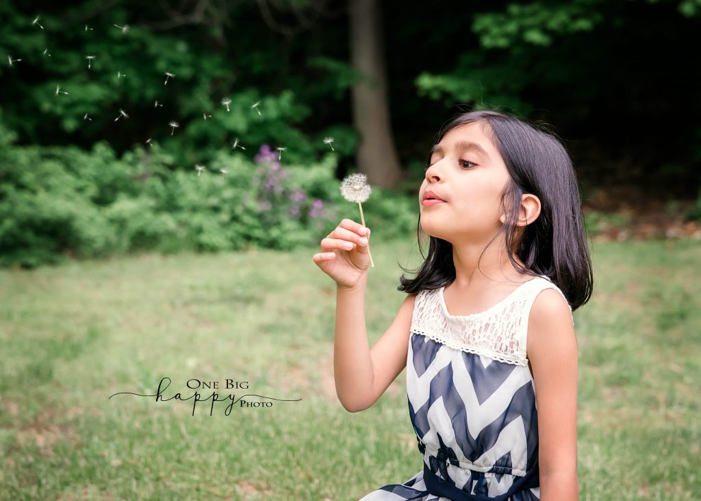 Young Indian girl blows dandelion seeds for wishes