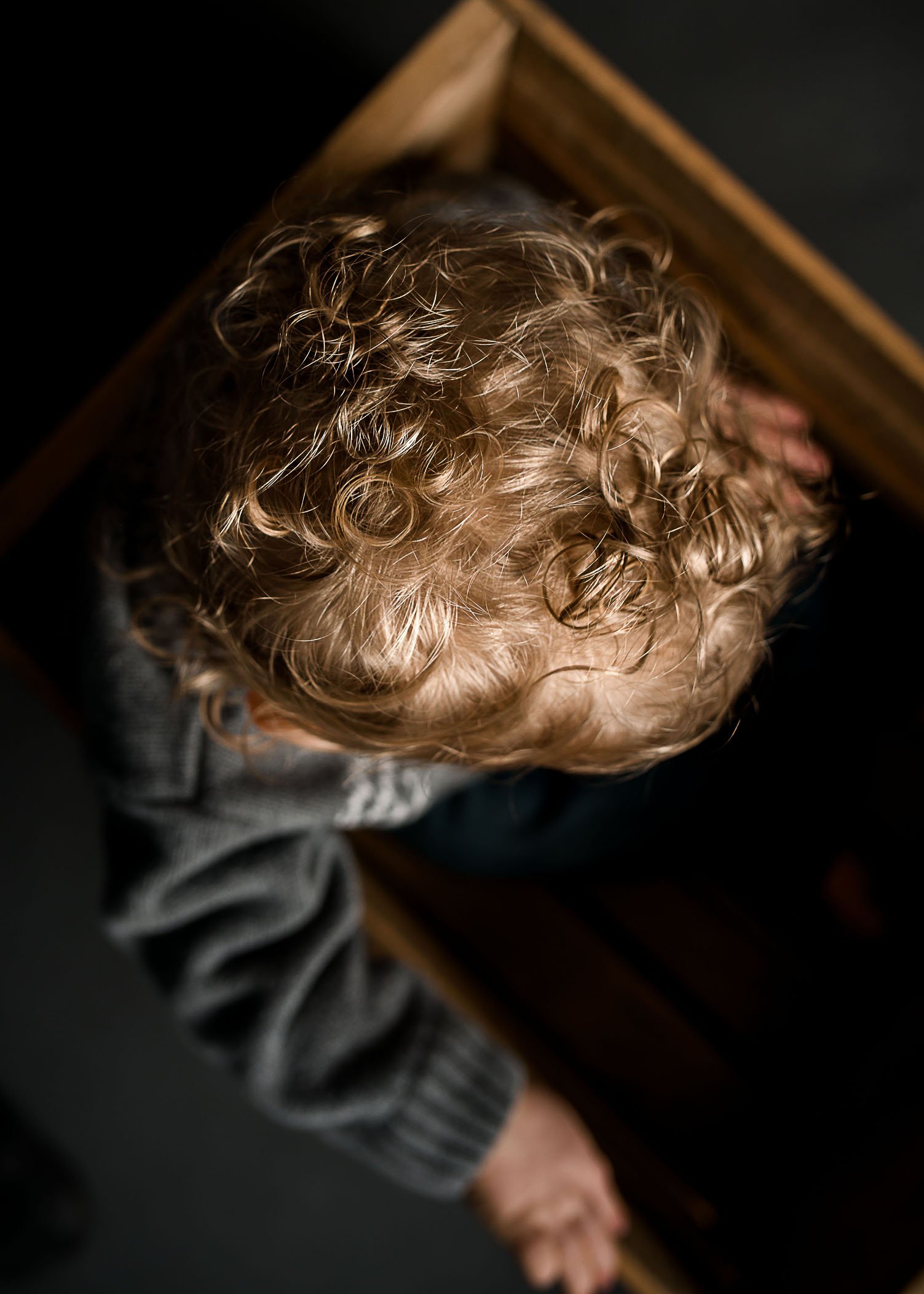 top down picture of toddler's blonde curls One Big Happy Photo