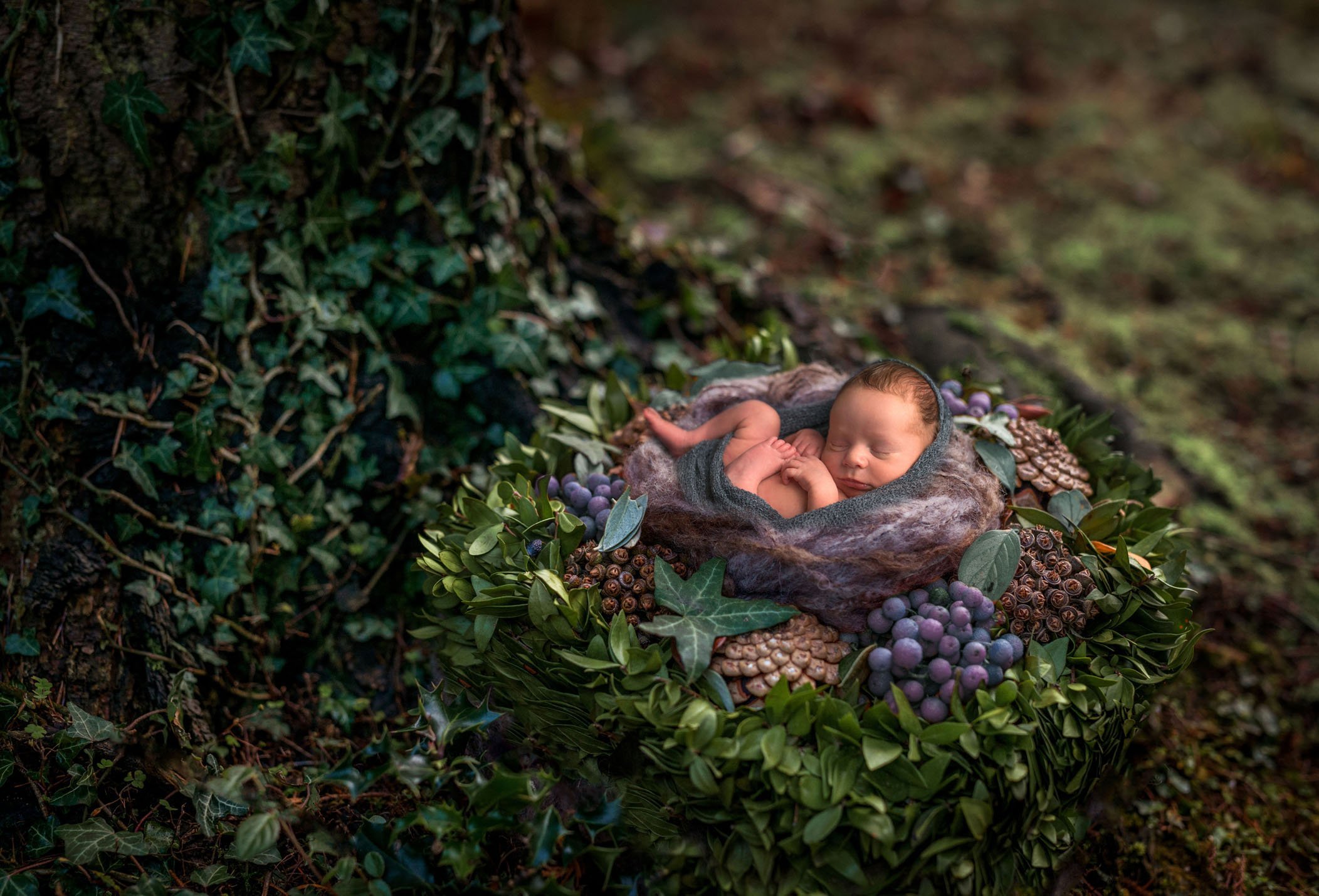 newborn sleeping in a woodland nest in the forest One Big Happy Photo