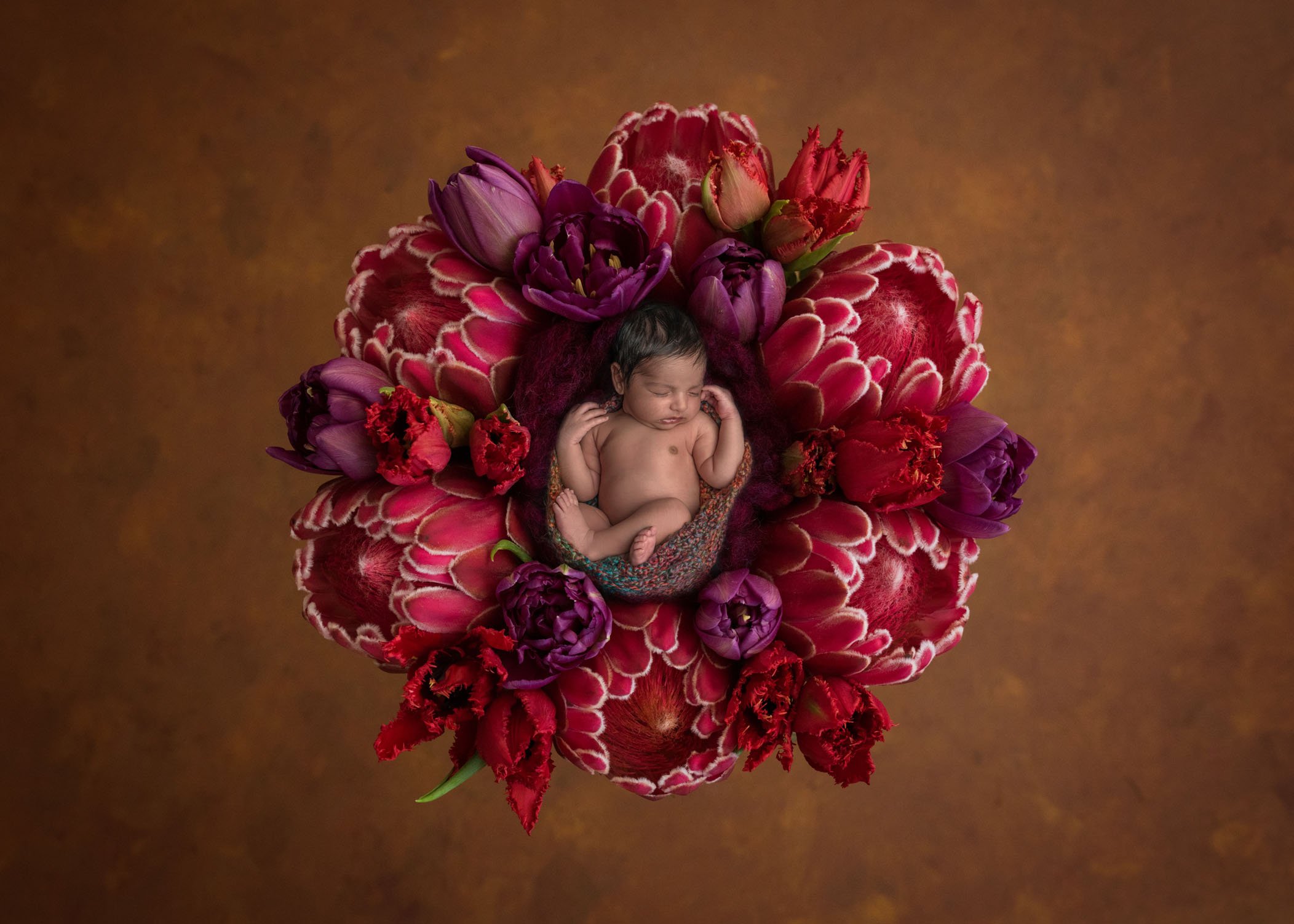 newborn baby sleeping in red and purple floral wreath