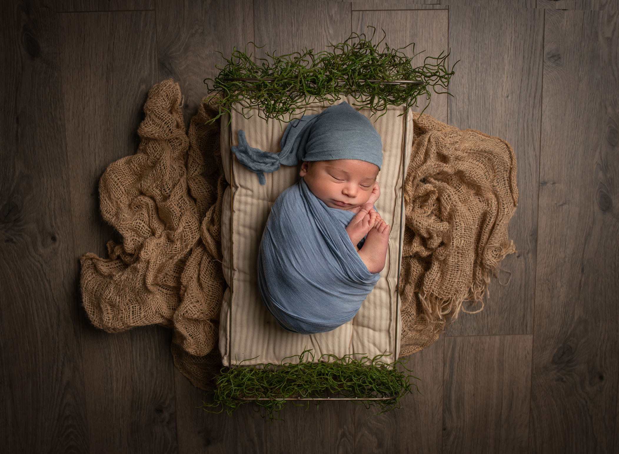 newborn photographer in avon connecticut