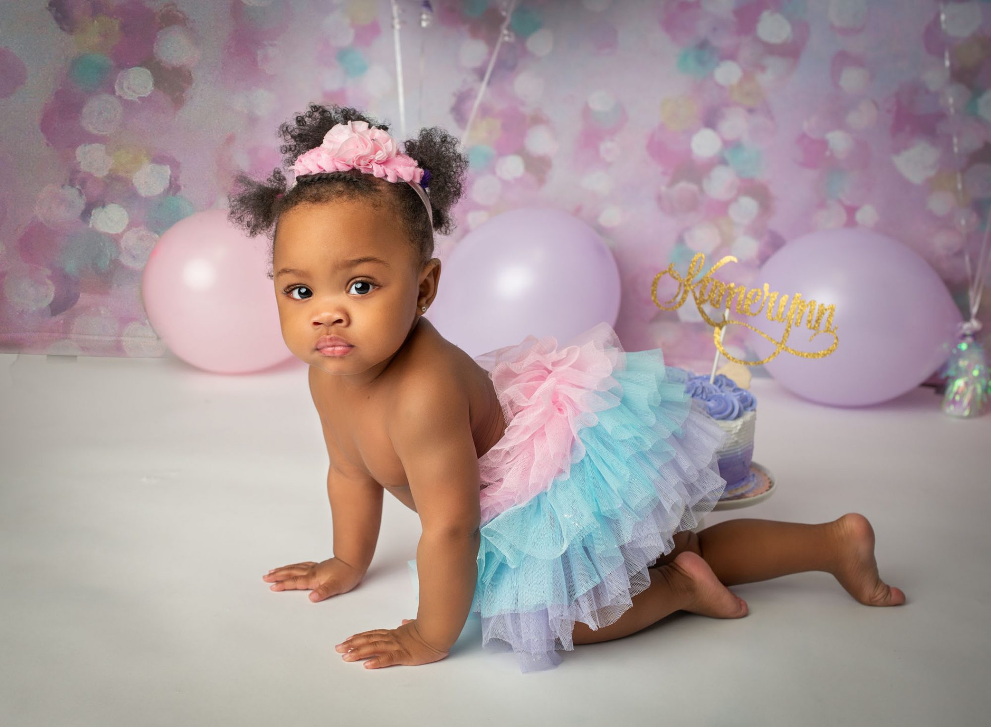 Kamerynn Little Girl Cake Smash Photos One Big Happy Photo