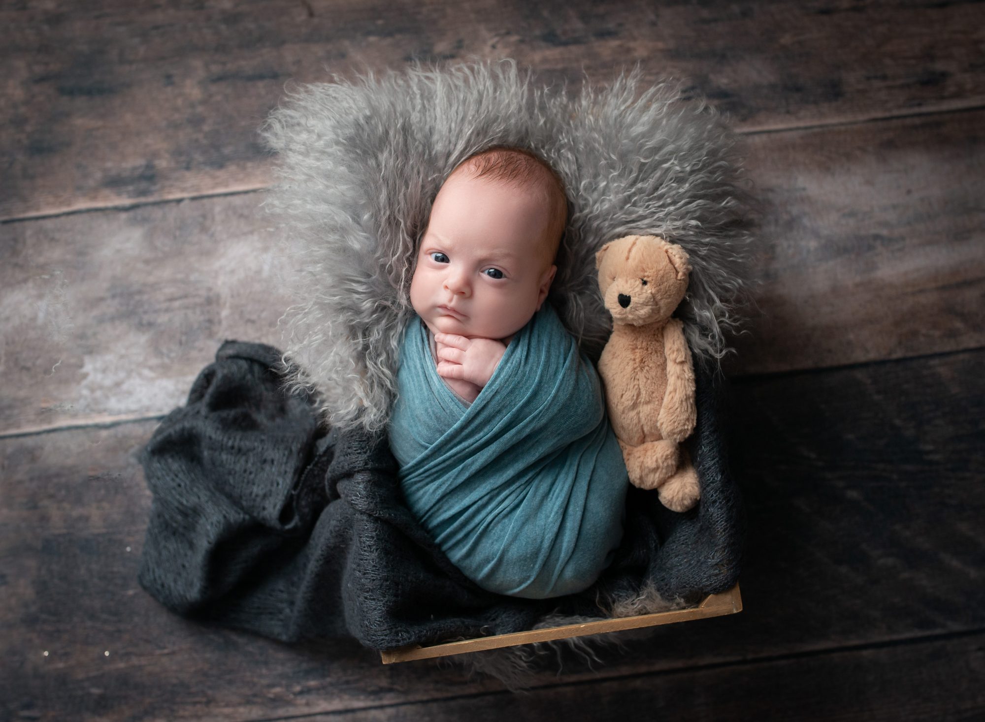 Premie Newborn Photographer In Connecticut