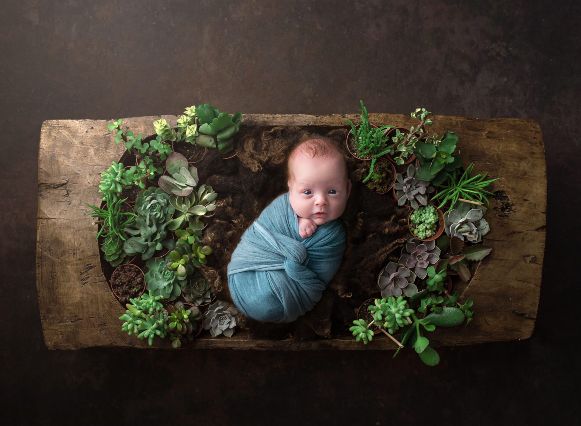 Premie Newborn Photographer