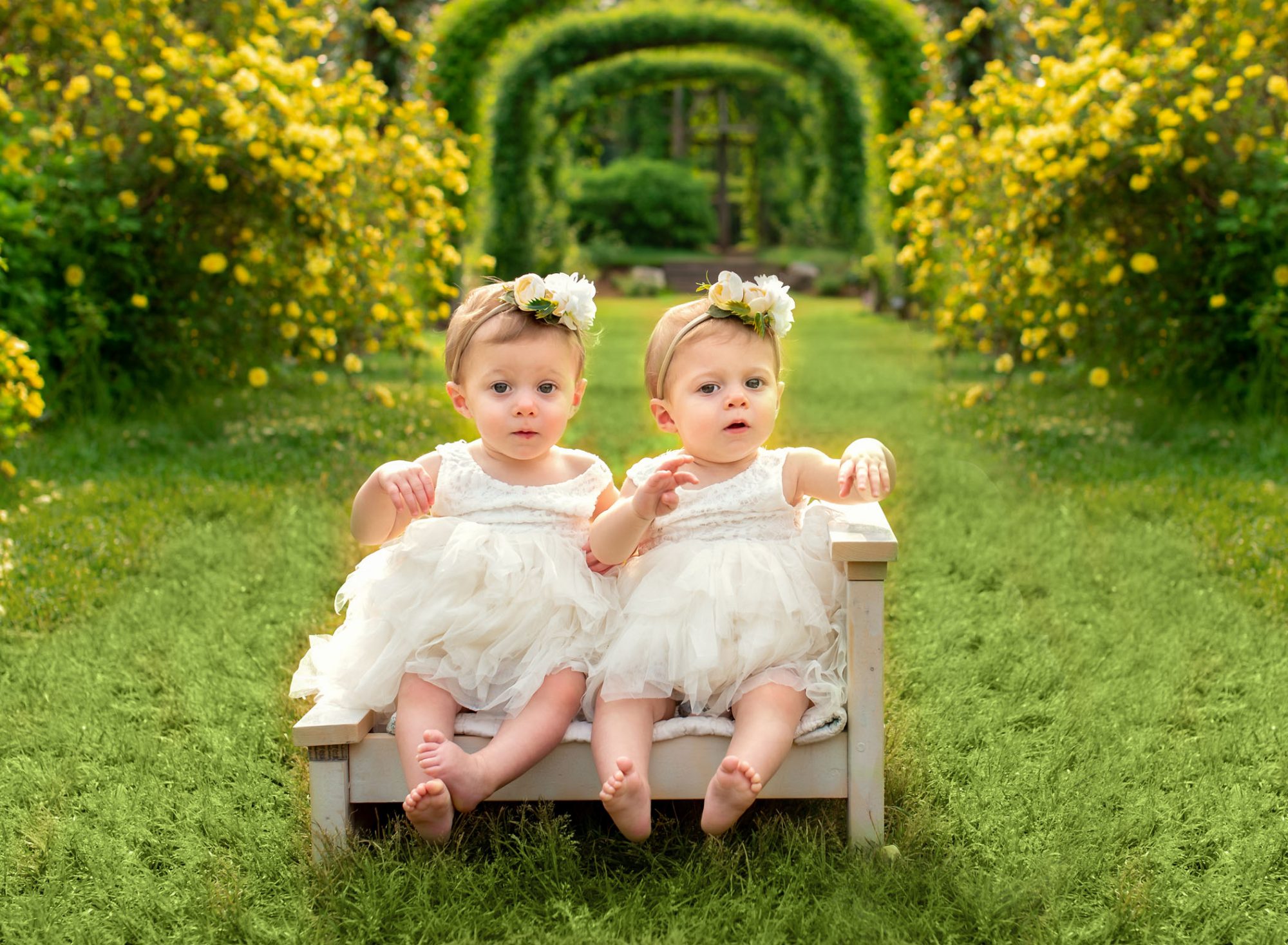 child and family photographers in connecticut