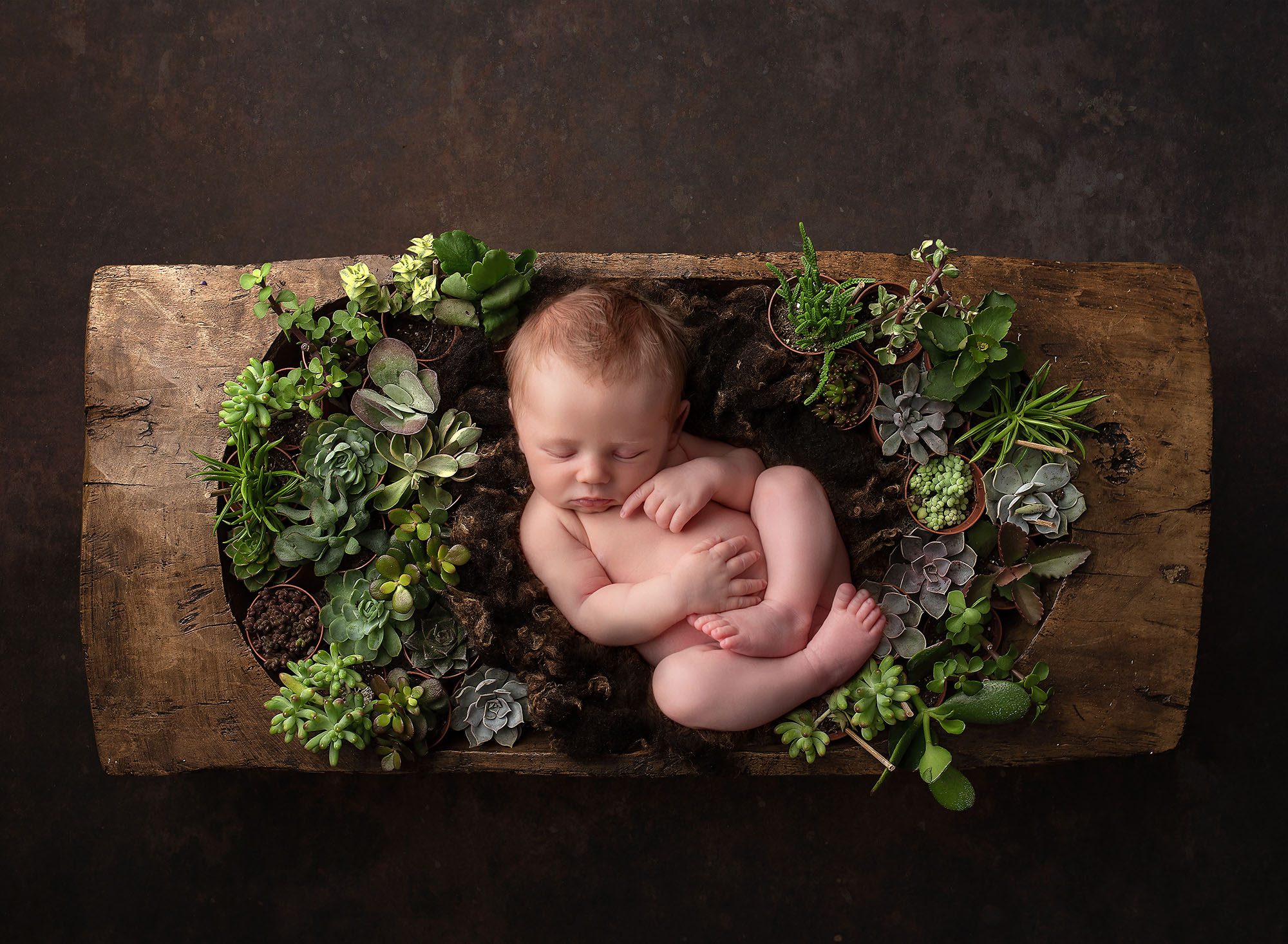 best newborn baby photographer in connecticut