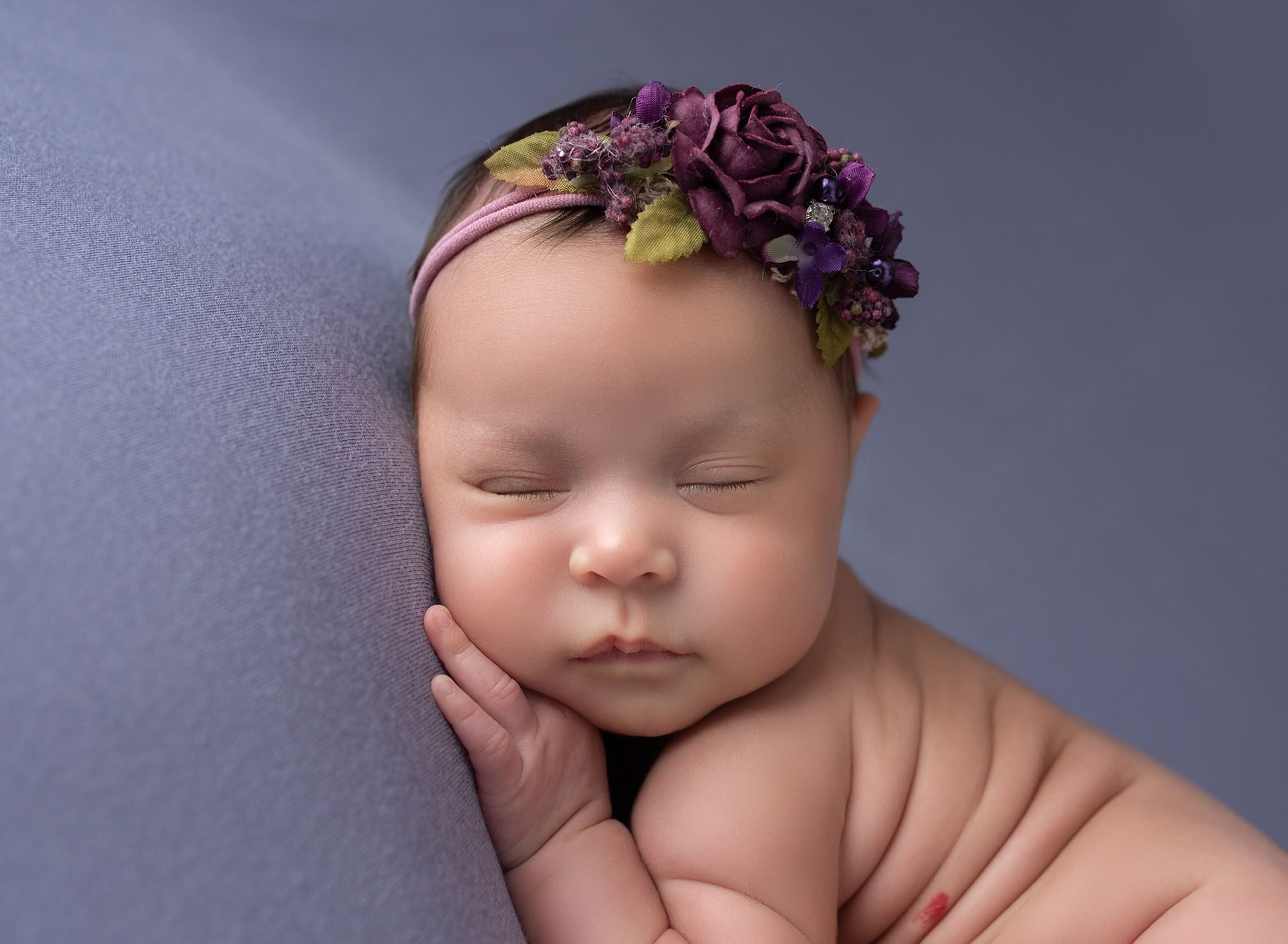 newborn and family photography glastonbury ct