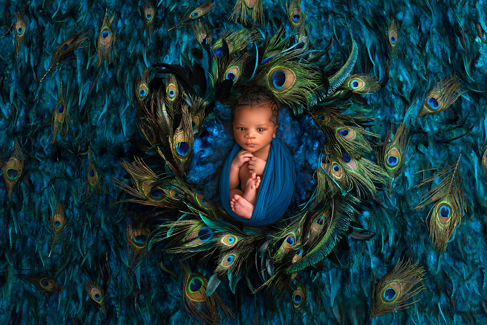 awake newborn swaddled in a nest made from peacock feathers