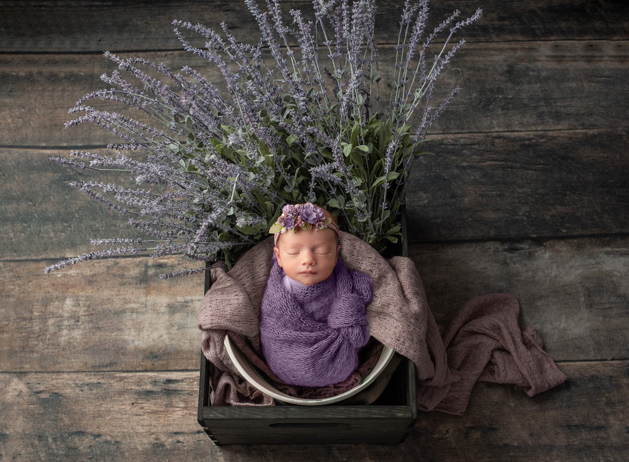 newborn baby girl swaddled in purple asleep in bucket with lots of lavender on wooden background