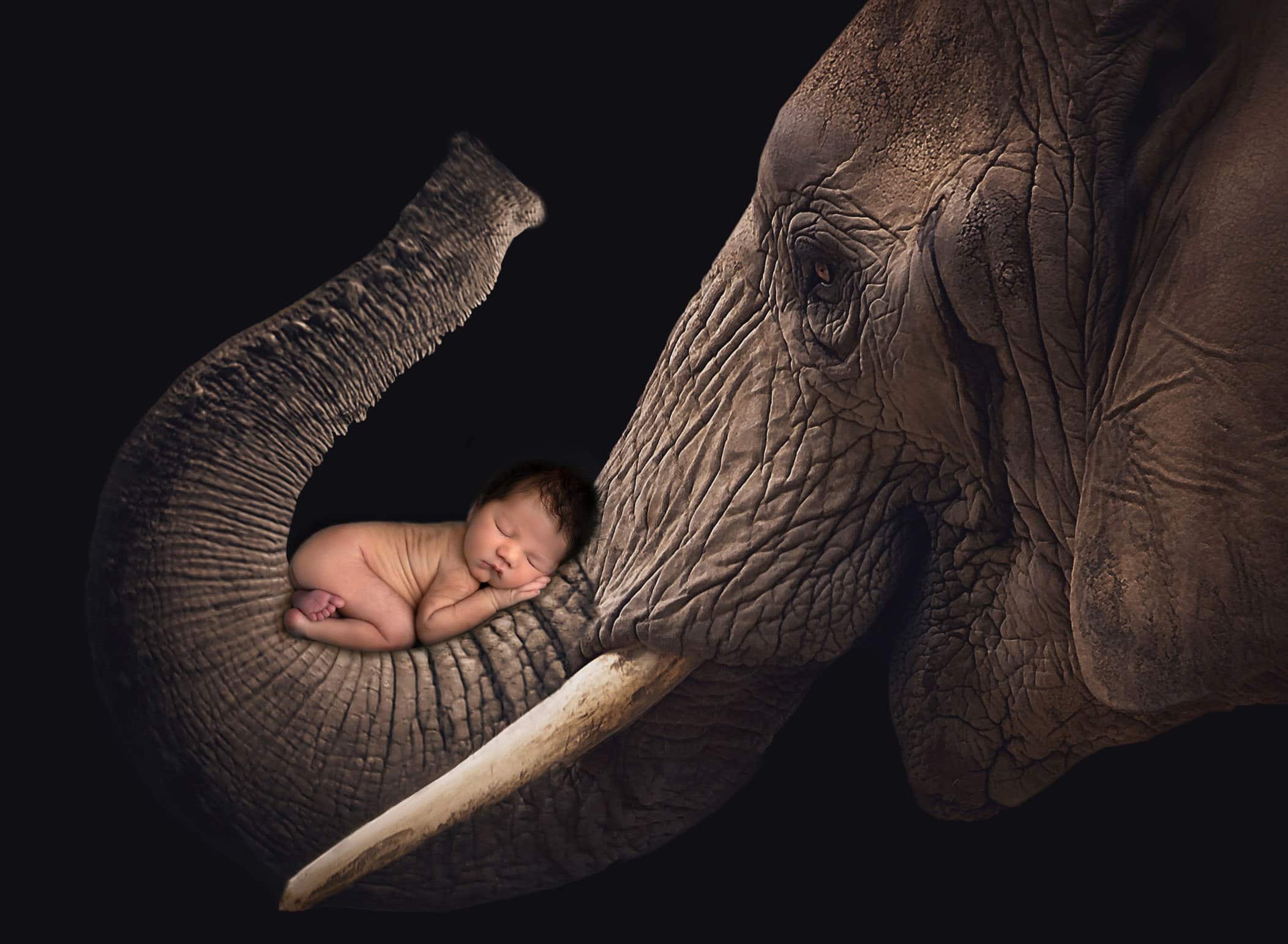 hartford ct newborn photography