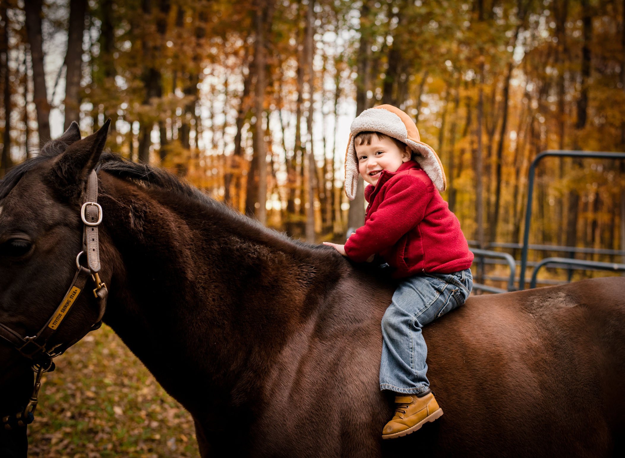 children's photography connecticut