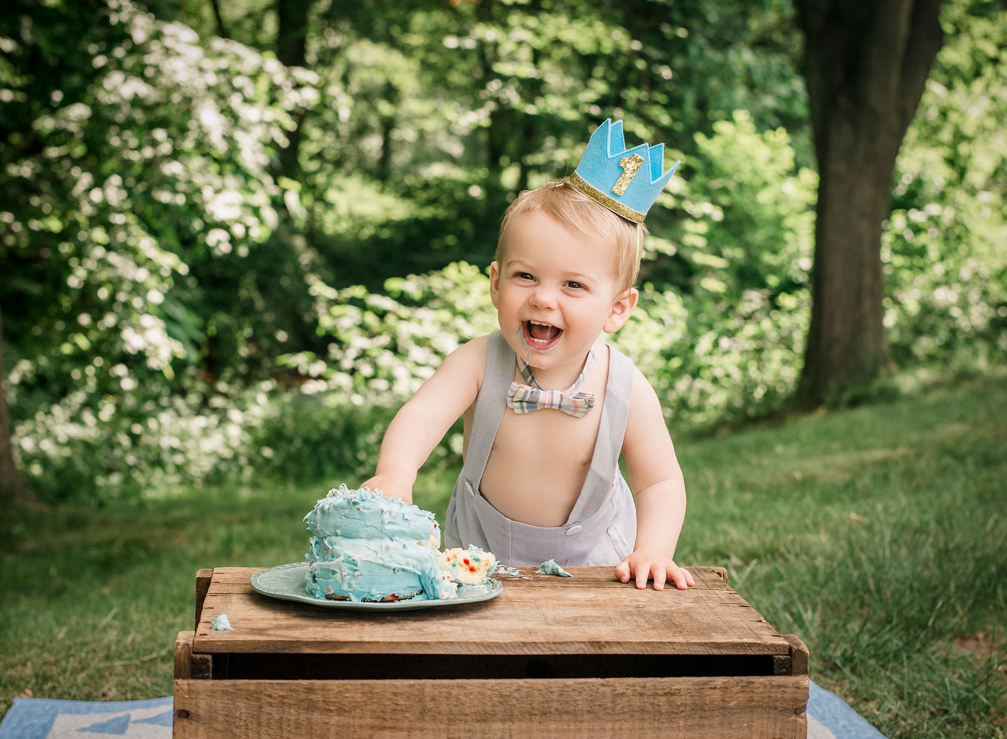 Nash Outdoor First Birthday And Cake Smash One Big Happy Photo