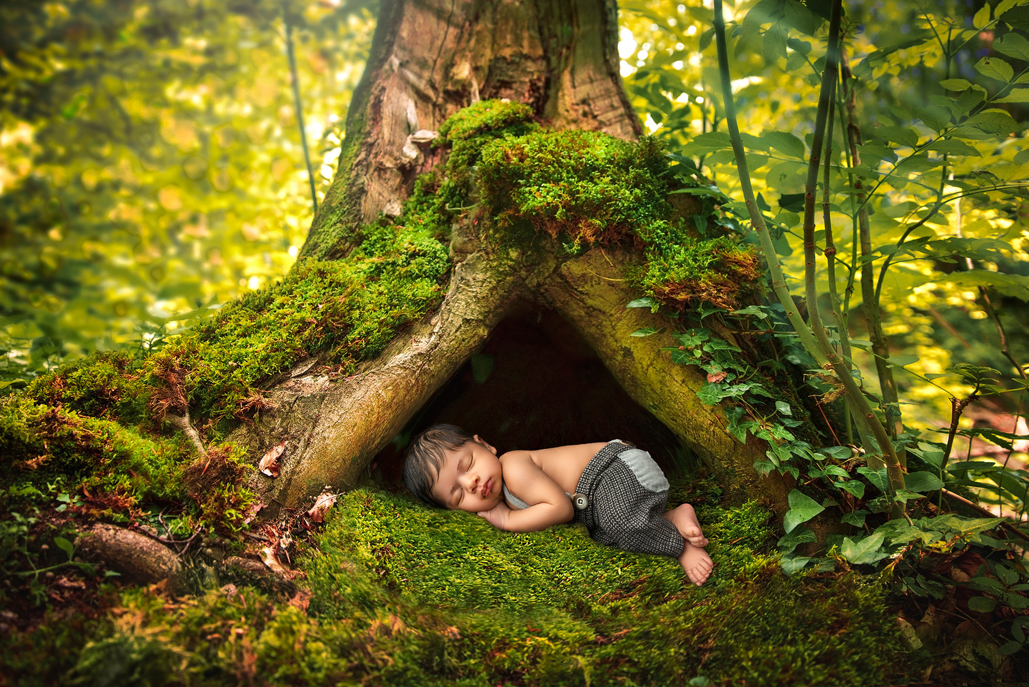 newborn boy sleeping outside in the hollow of a tree wearing suspenders and grey pants Fine Art Newborn Photography