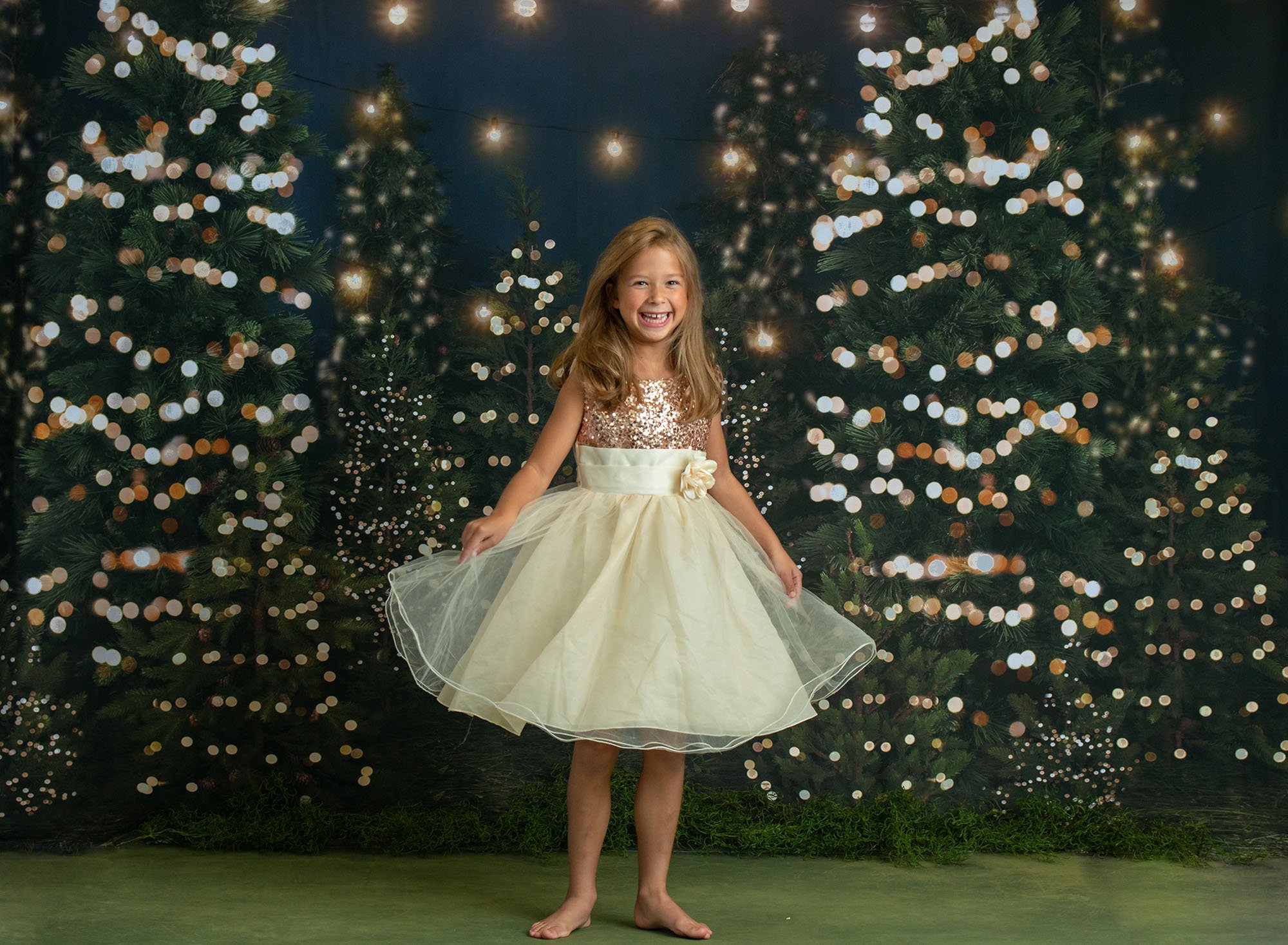 connecticut holiday minis photographer