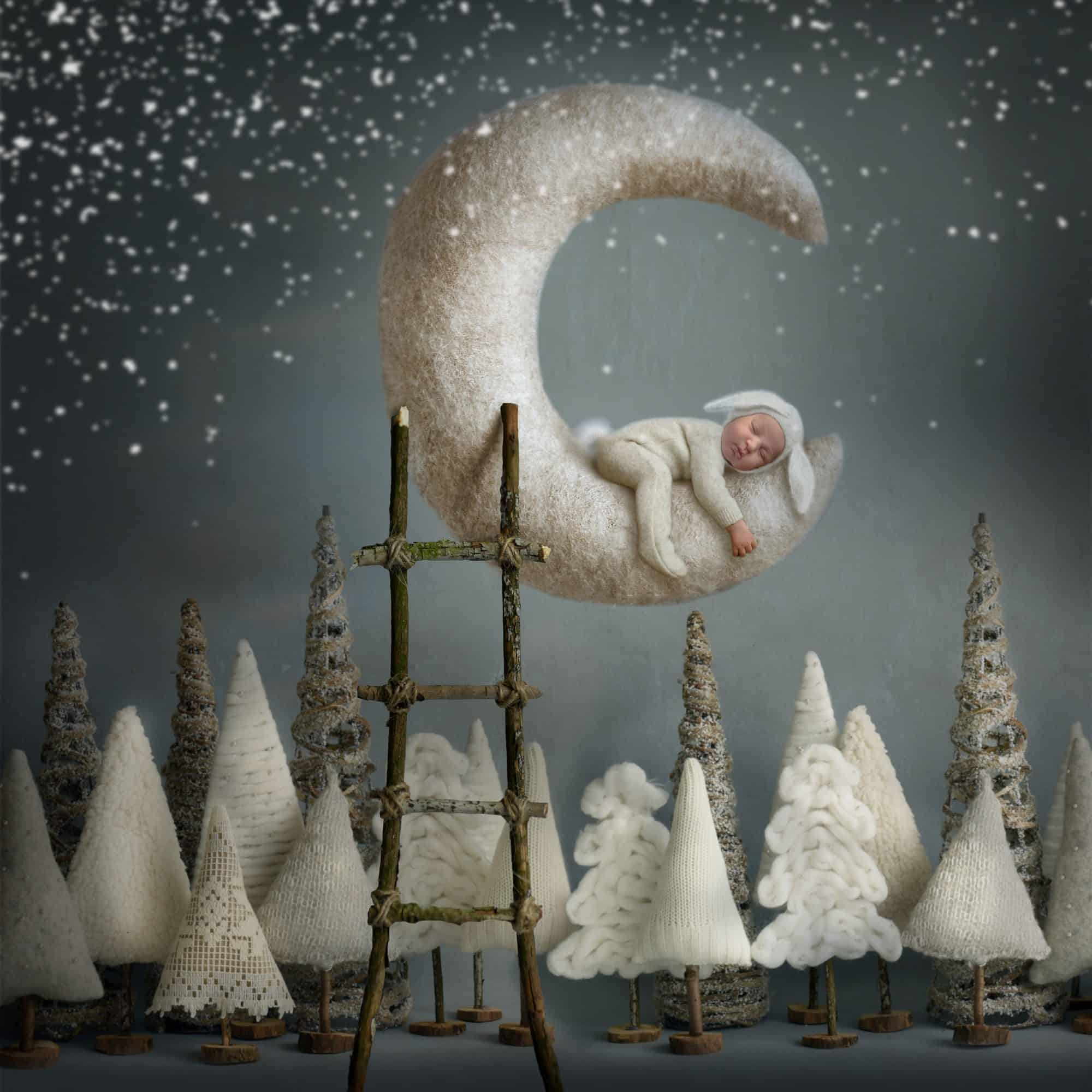 newborn photography farmington ct