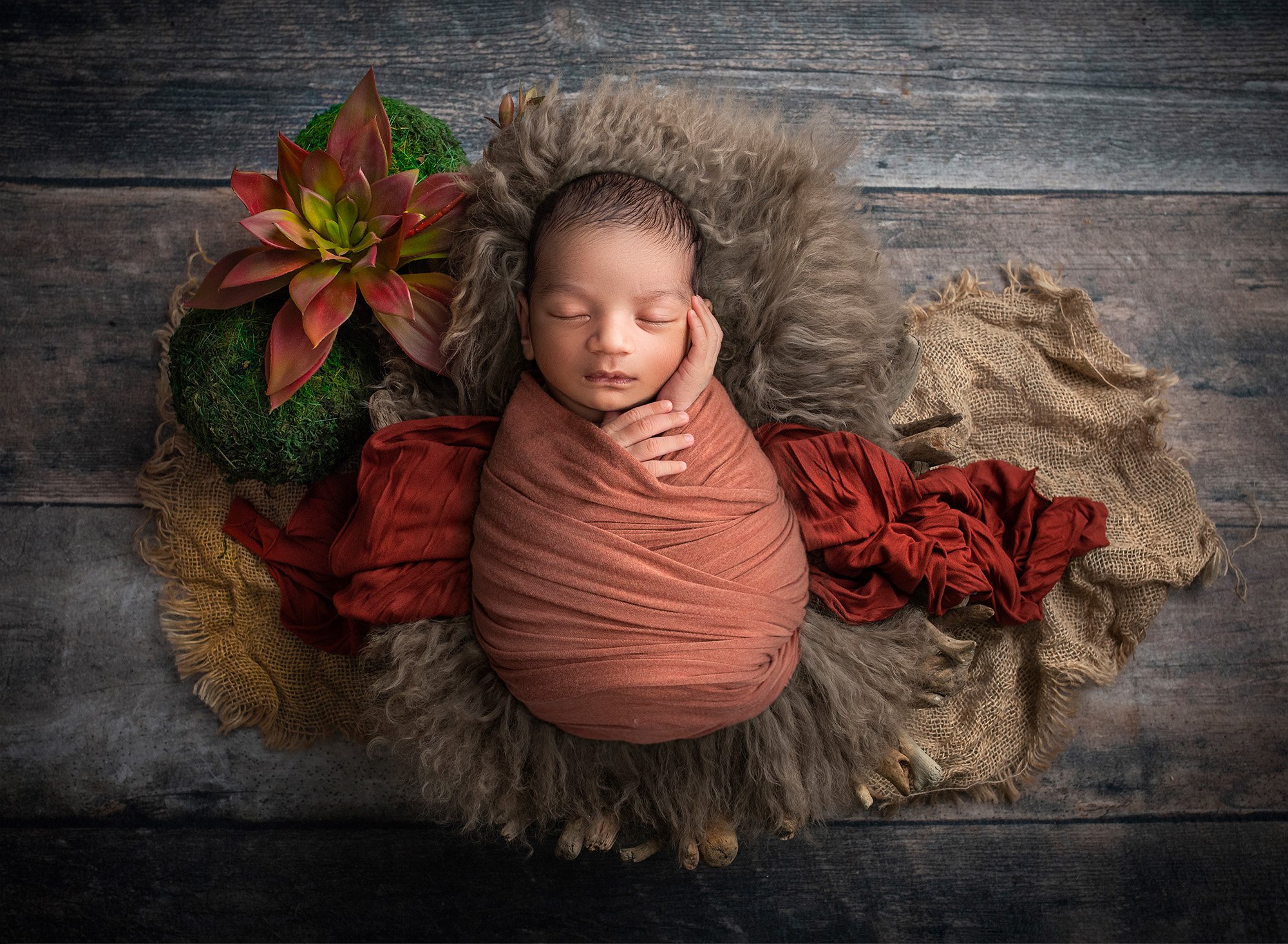 newborn baby boy asleep laying on brown blankets next to a succulent flower
