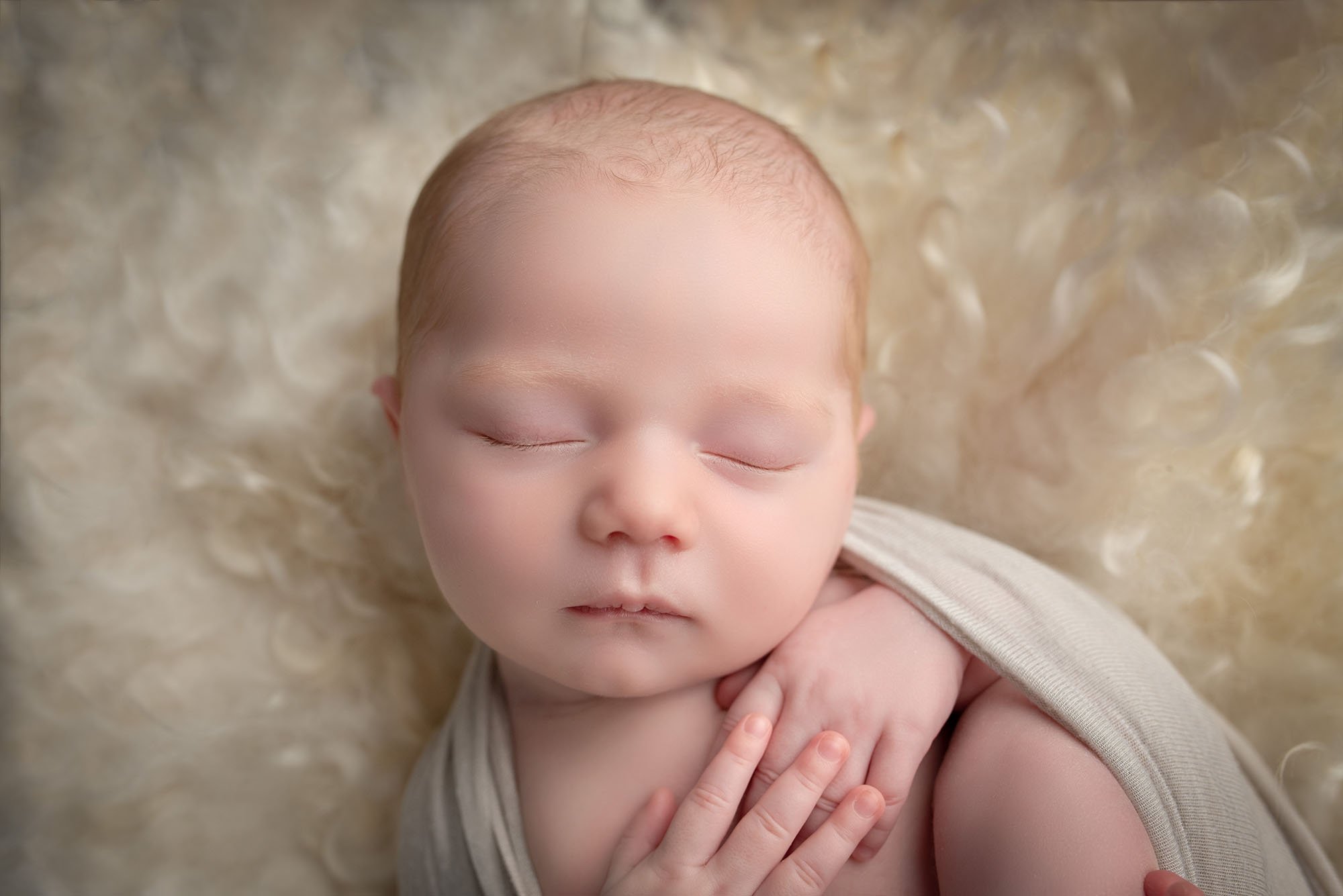 newborn photographers connecticut