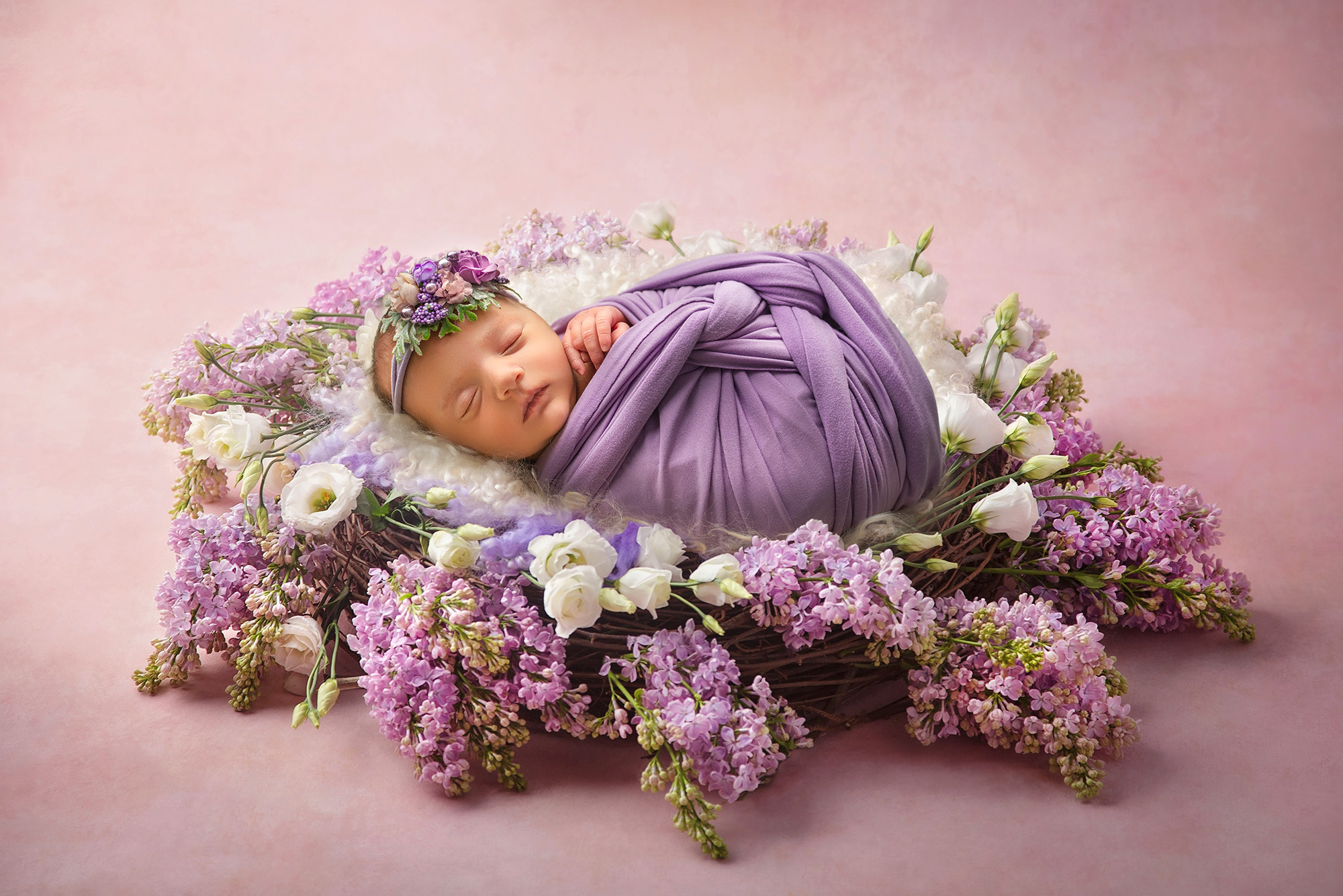 Dreaming peacefully in a nest of purple hydrangeas, this sleeping baby is a vision of pure contentment