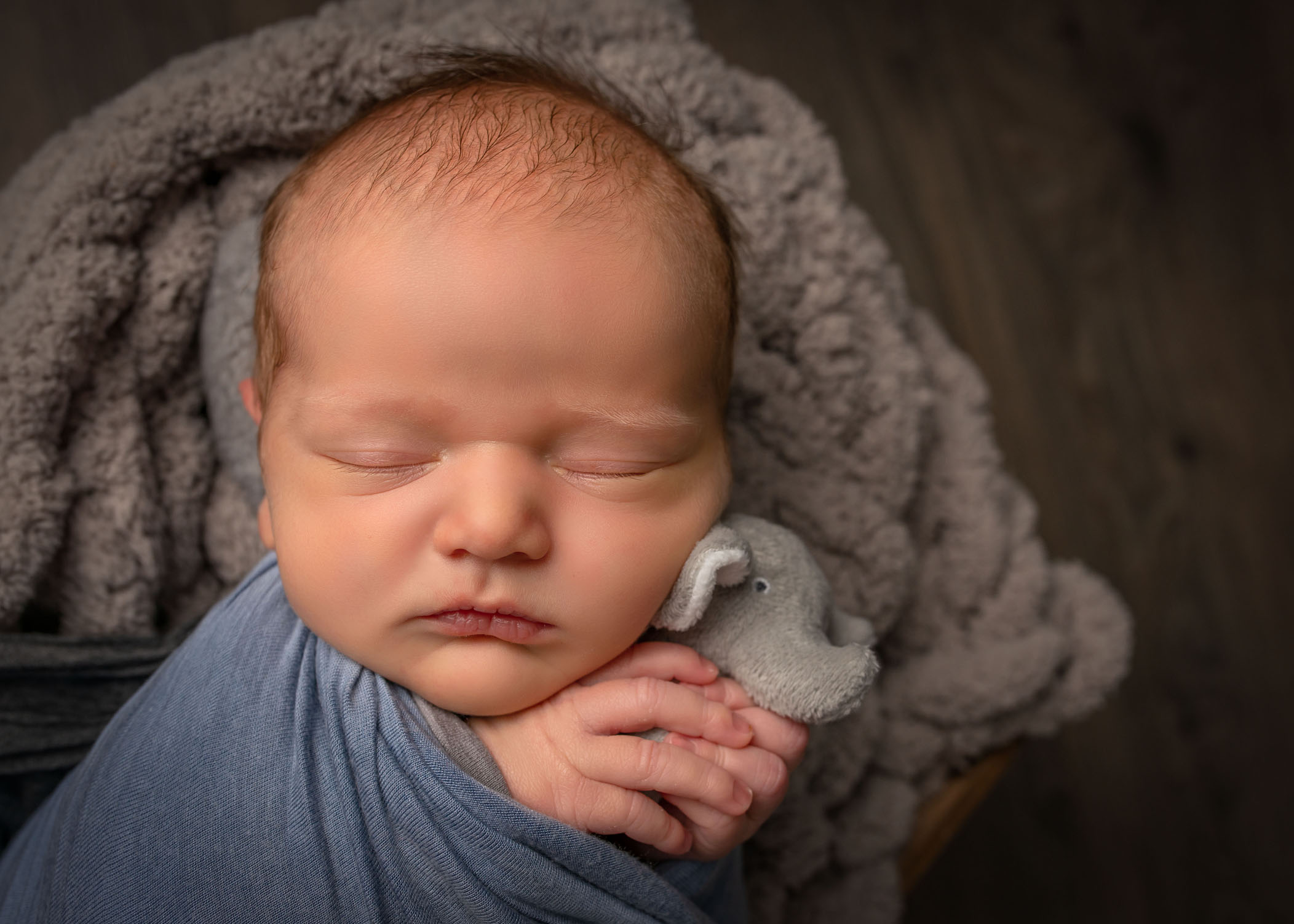Close up of newborn baby sleeping with tiny stuffed elephant held in his hands