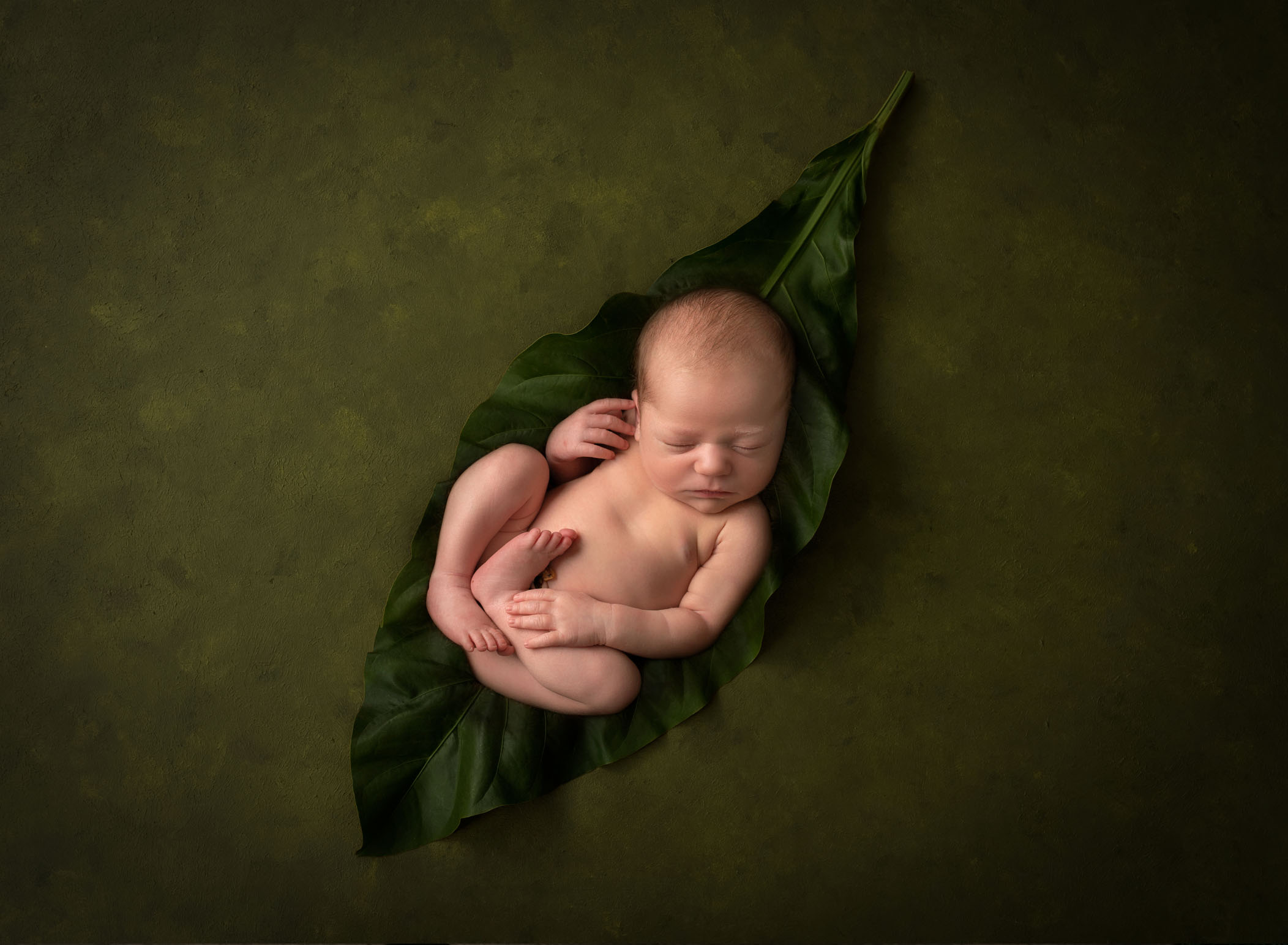 Newborn baby sleeping on tobacco leaf