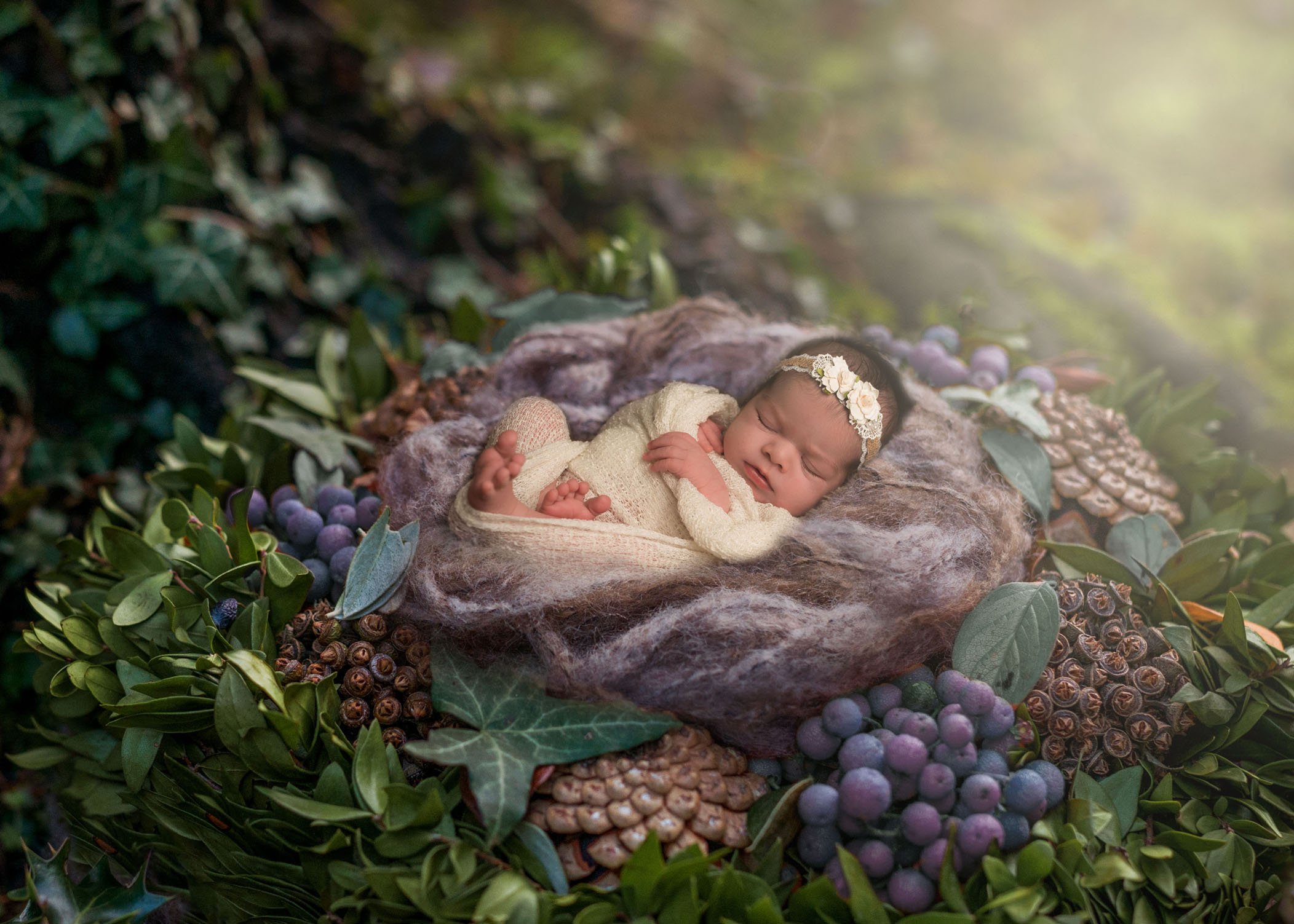 newborn baby girl sleeping in nest of berries and pinecones