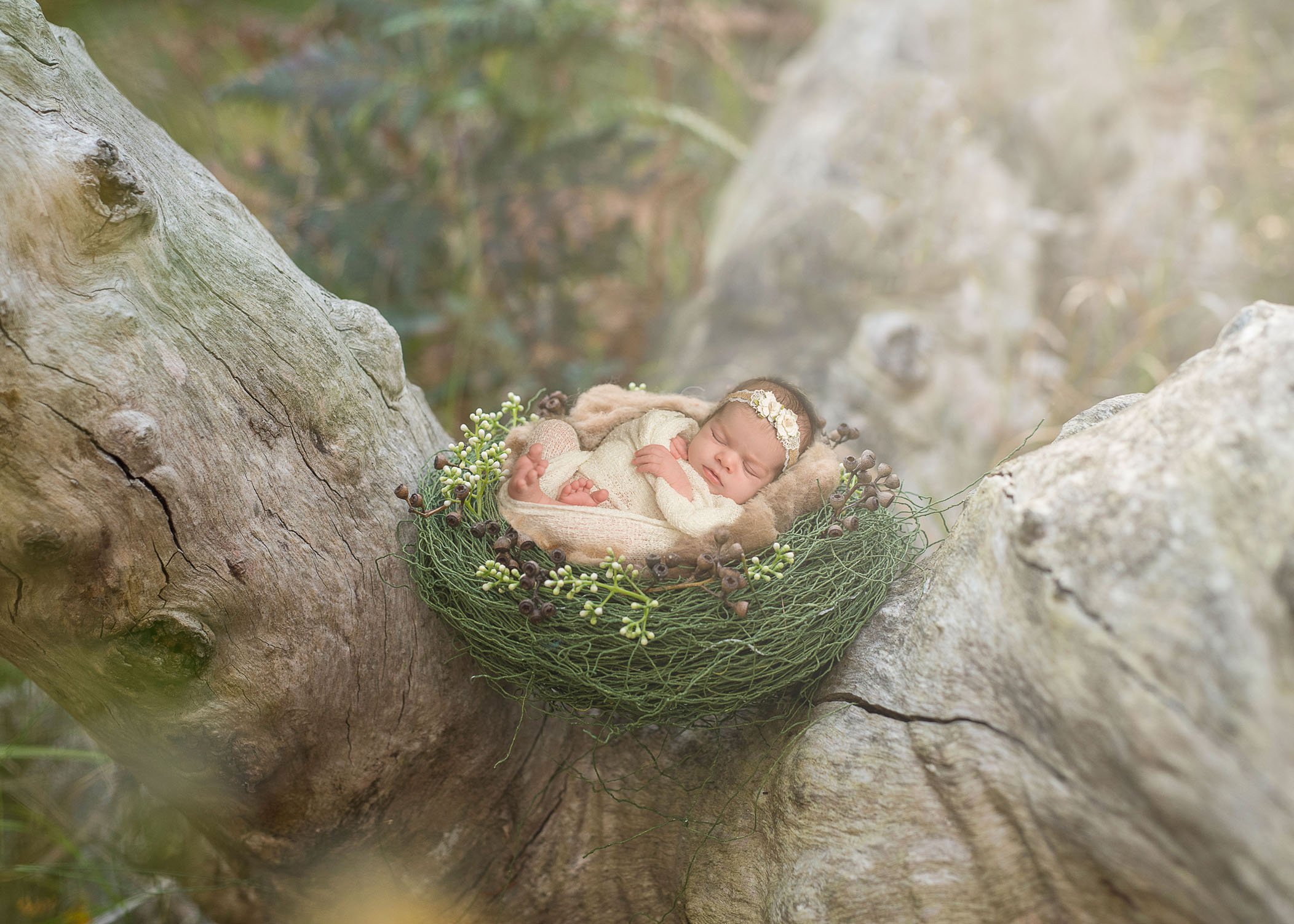 newborn baby sleeping in nest in tree