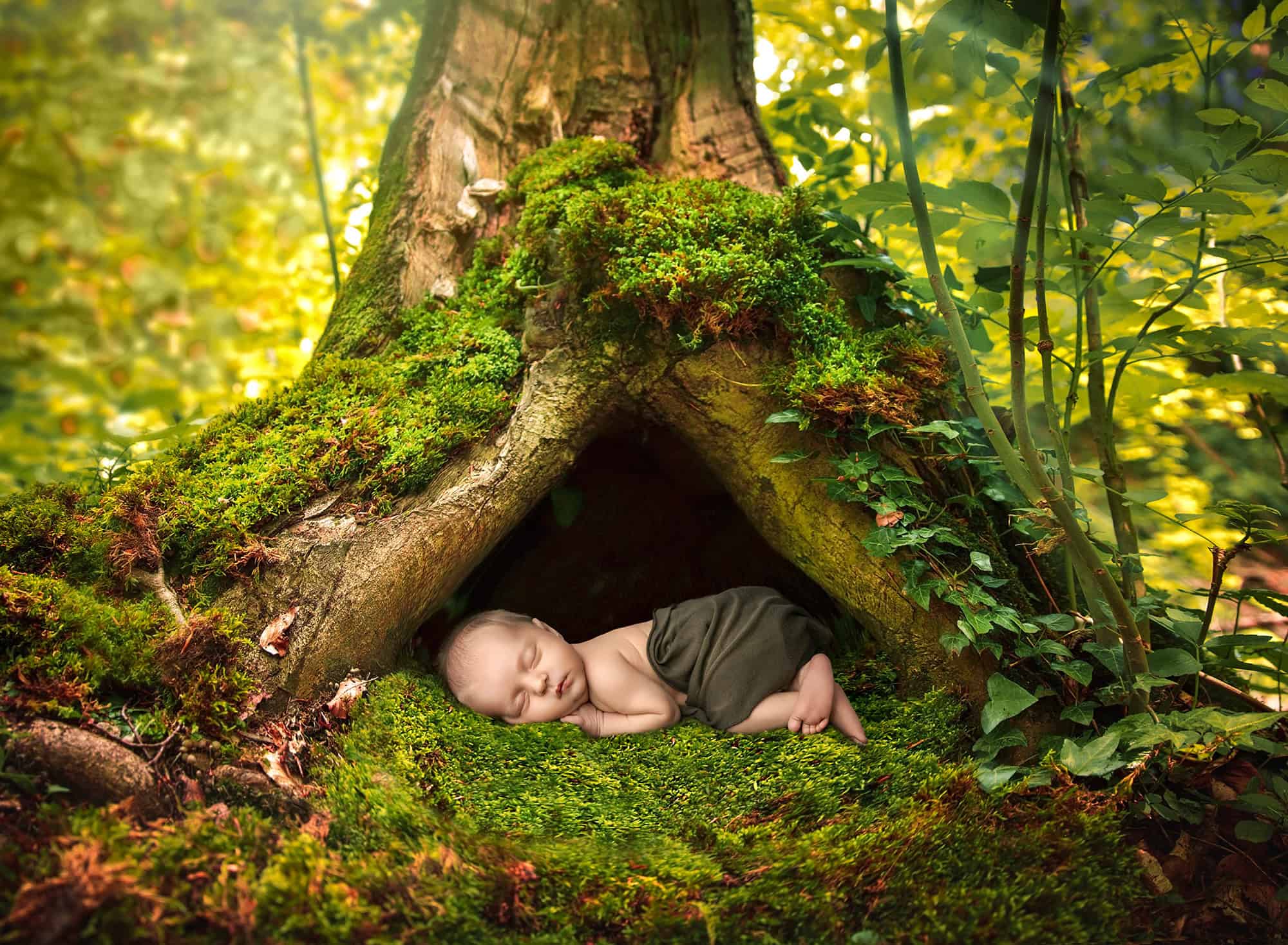 newborn photographer Glastonbury newborn baby sleeping under a tree