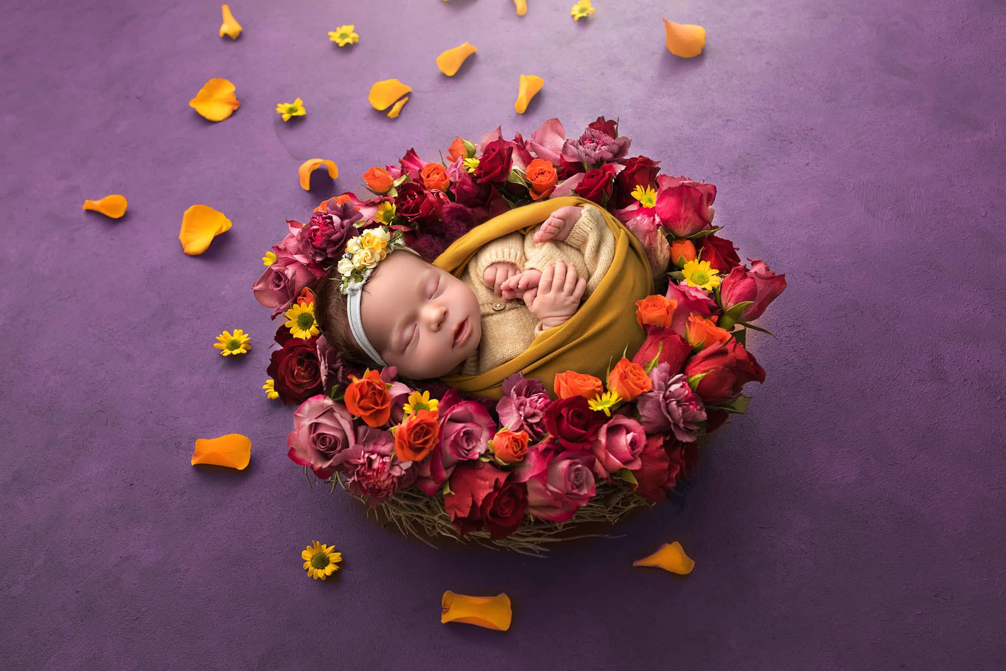 Glastonbury newborn photography newborn baby sleeping in a nest of roses