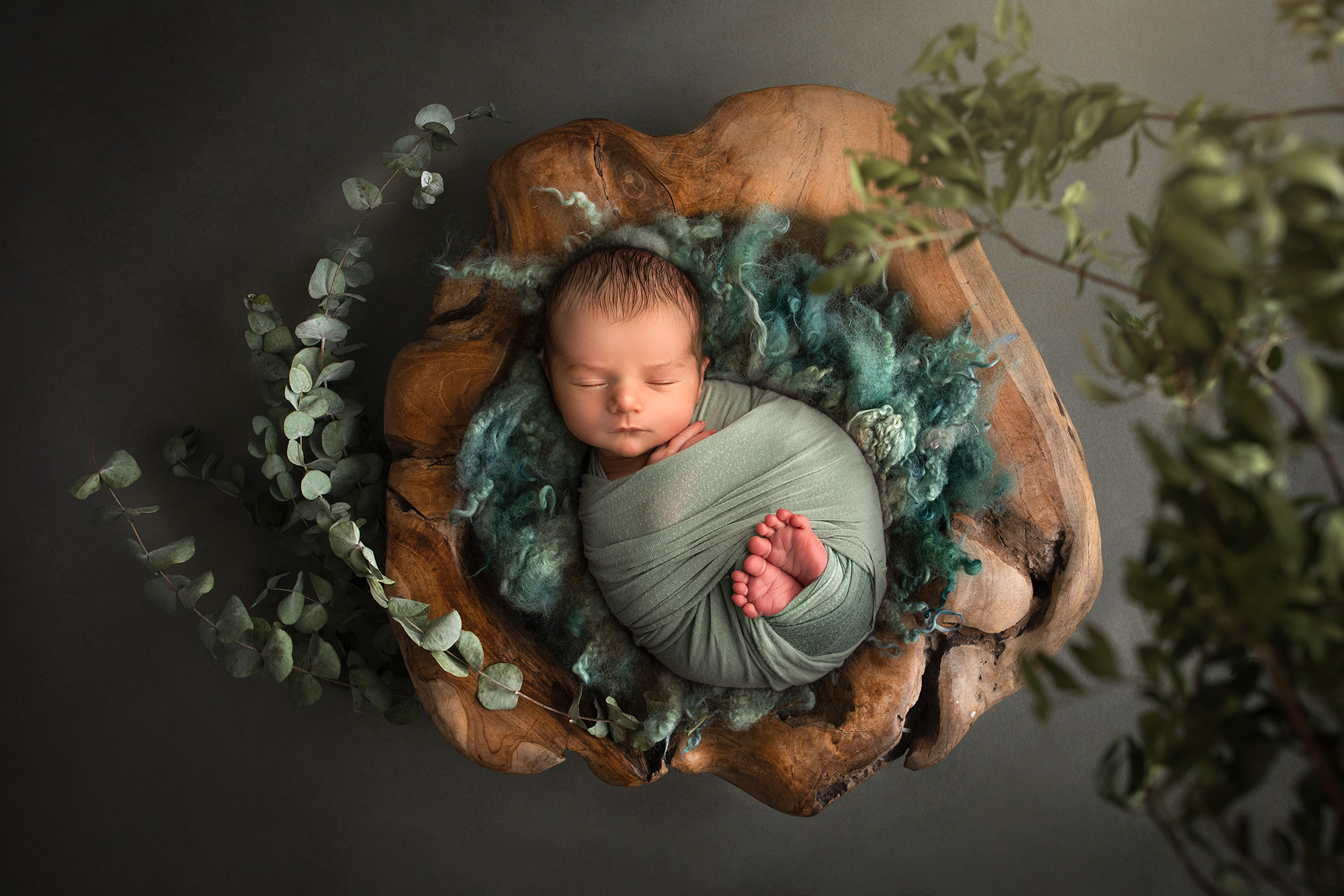 newborn boy sleeping in a rustic bowl with eucalyptus and green fluff
