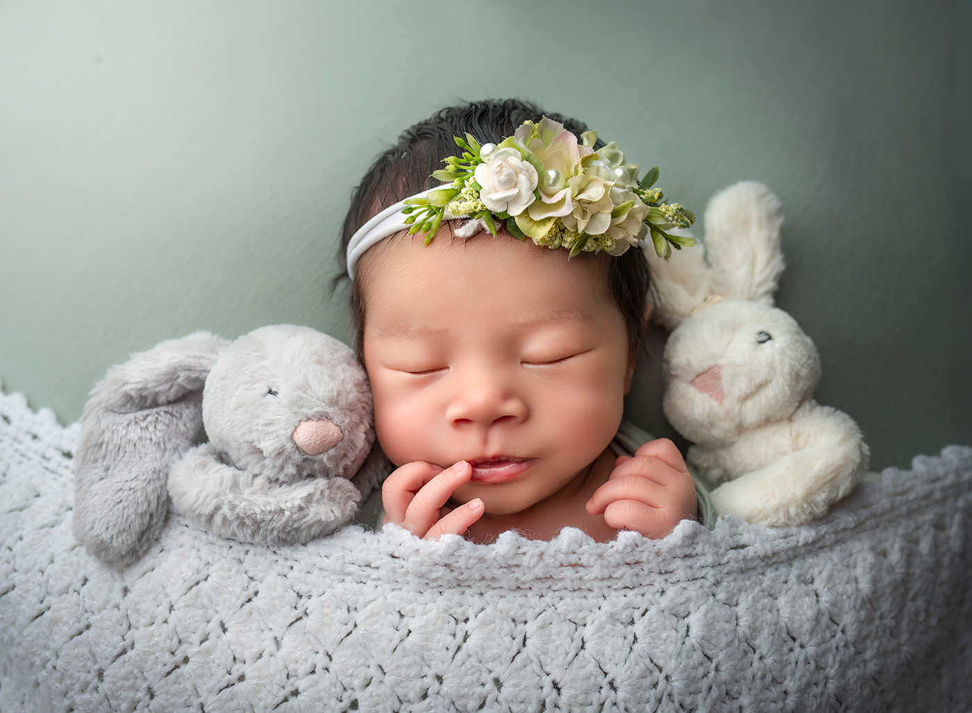 Luxury Newborn Photography simple photo of baby sleeping with 2 stuffies.