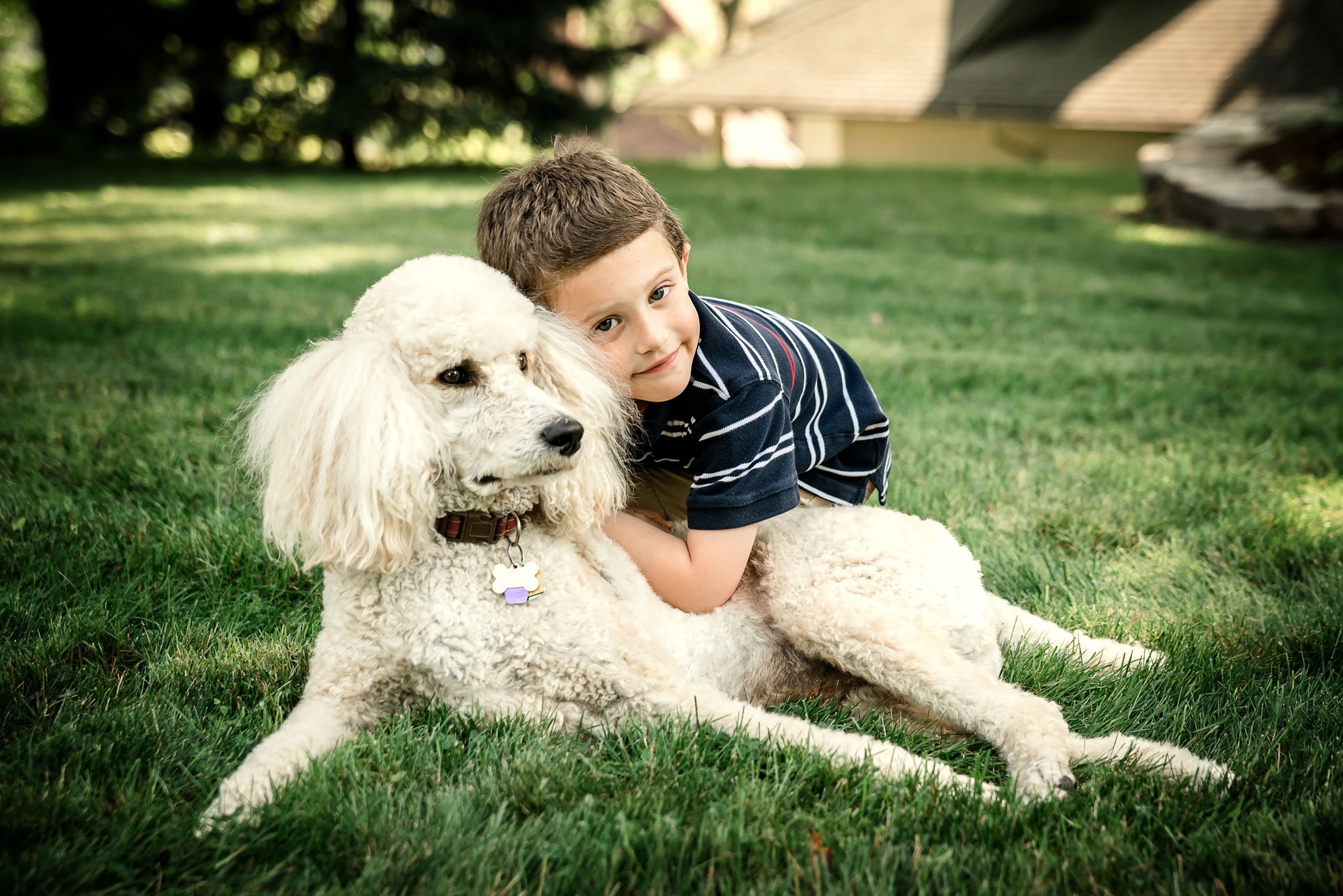 young boy hugs giant white poodle on front lawn