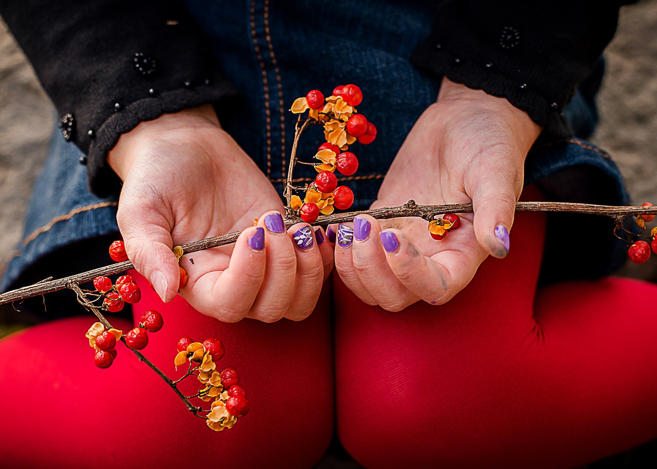 young girl's hands holding twig with red fall berries