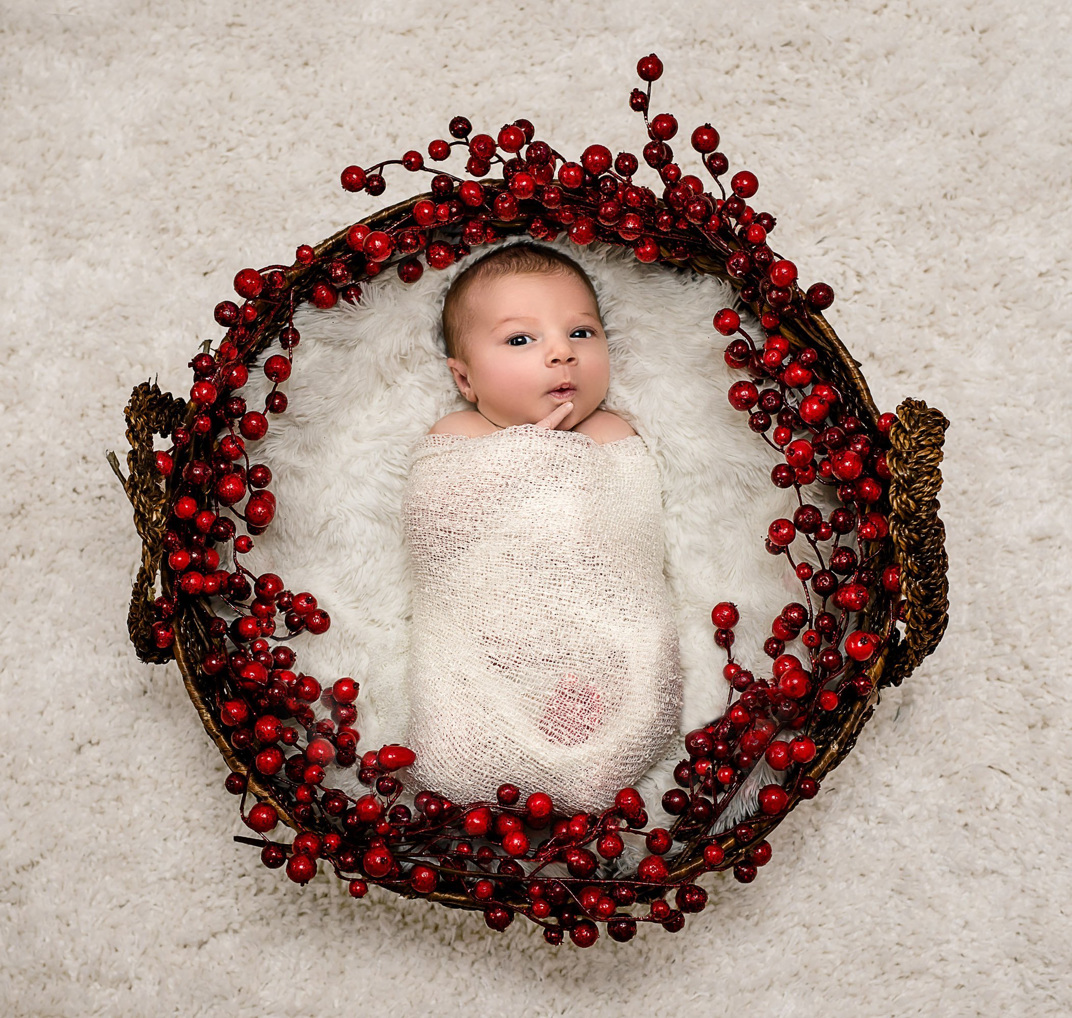 newborn Christmas photos baby wrapped in white blanket lying in a basket surrounded by christmas berries