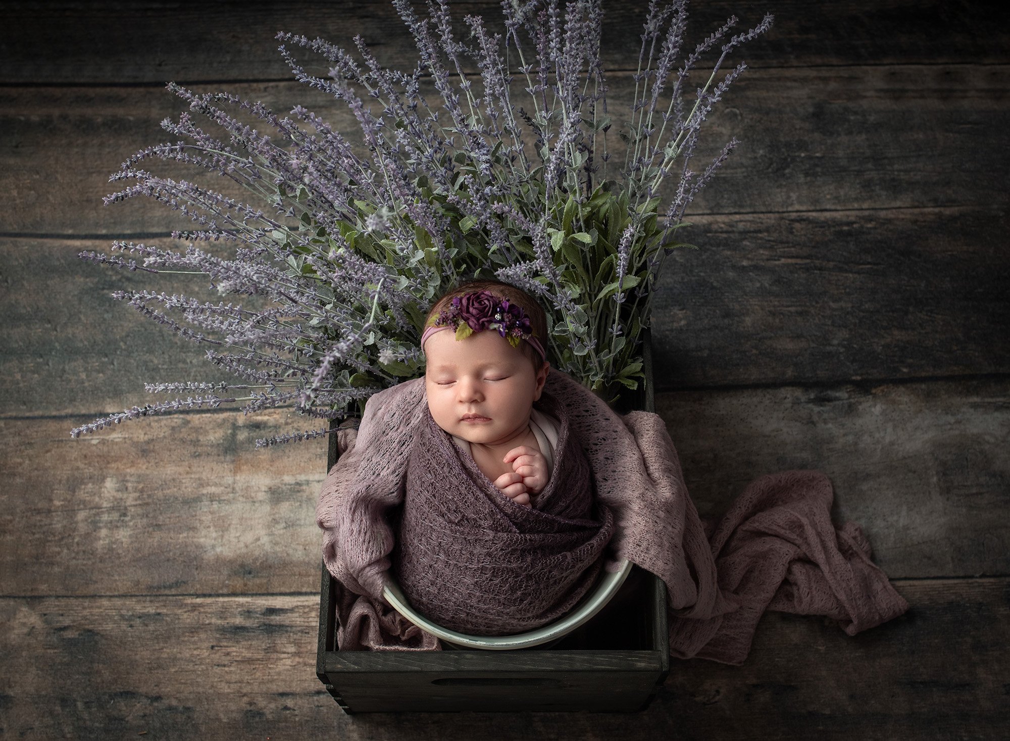 baby girl swaddled in purple sitting in bucket with lavender on rustic backdrop