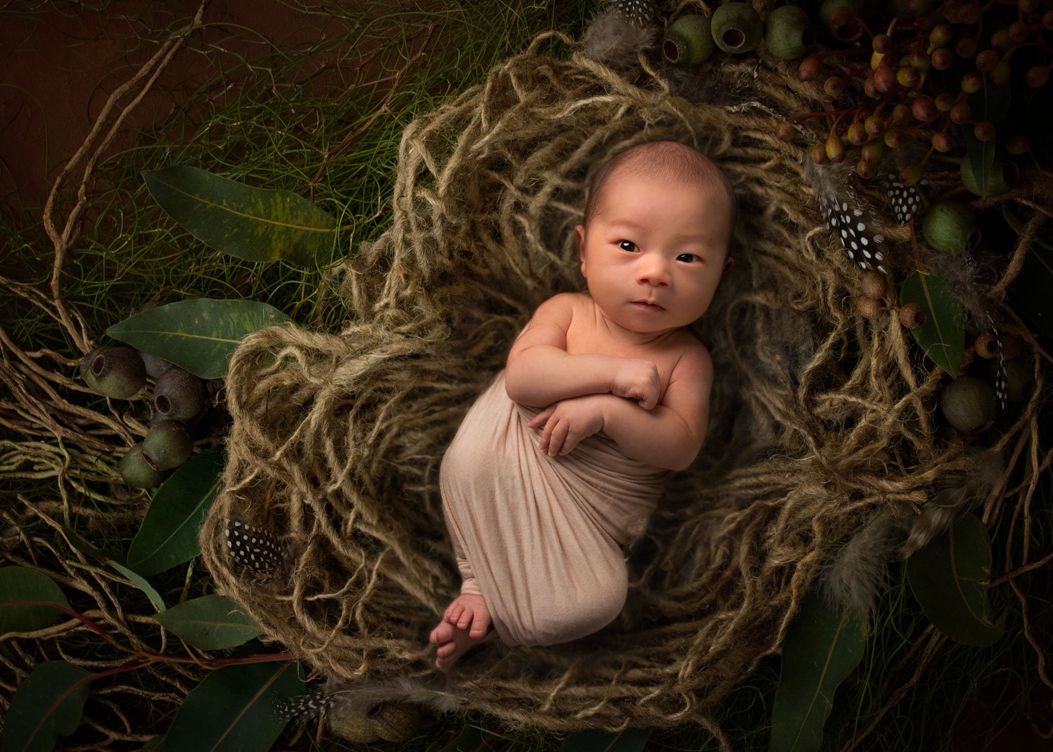 creative newborn photos newborn baby boy sleeping in garden nest