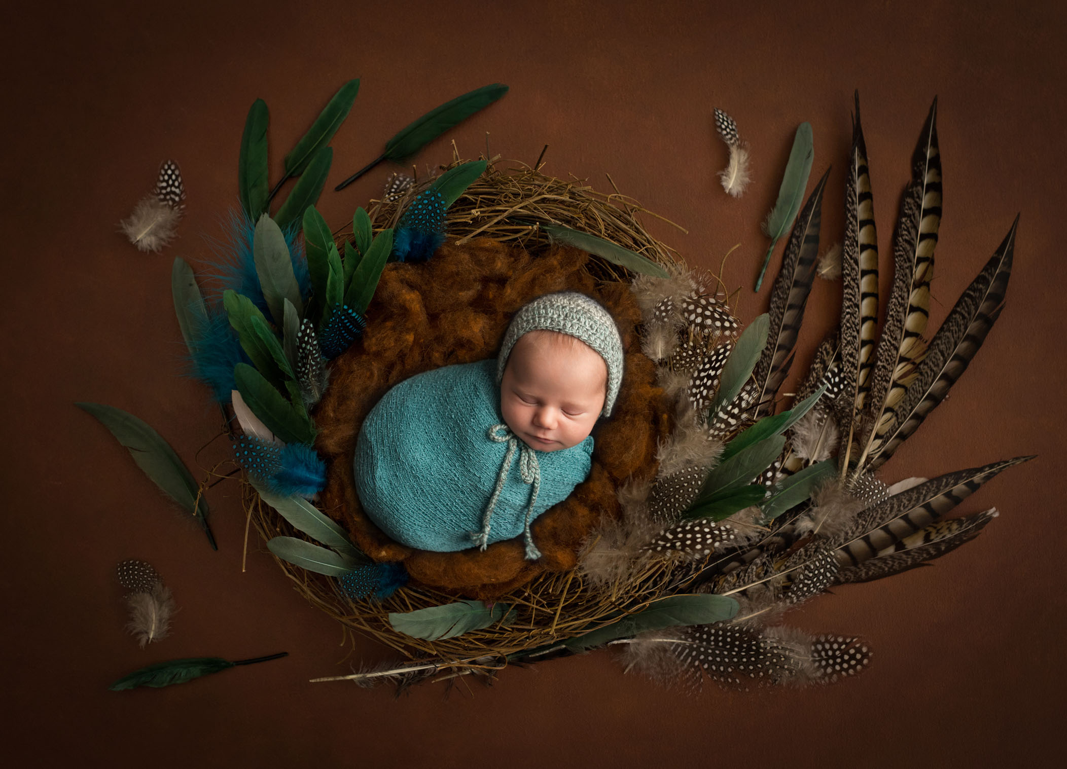 newborn baby boy lying in feathered nest