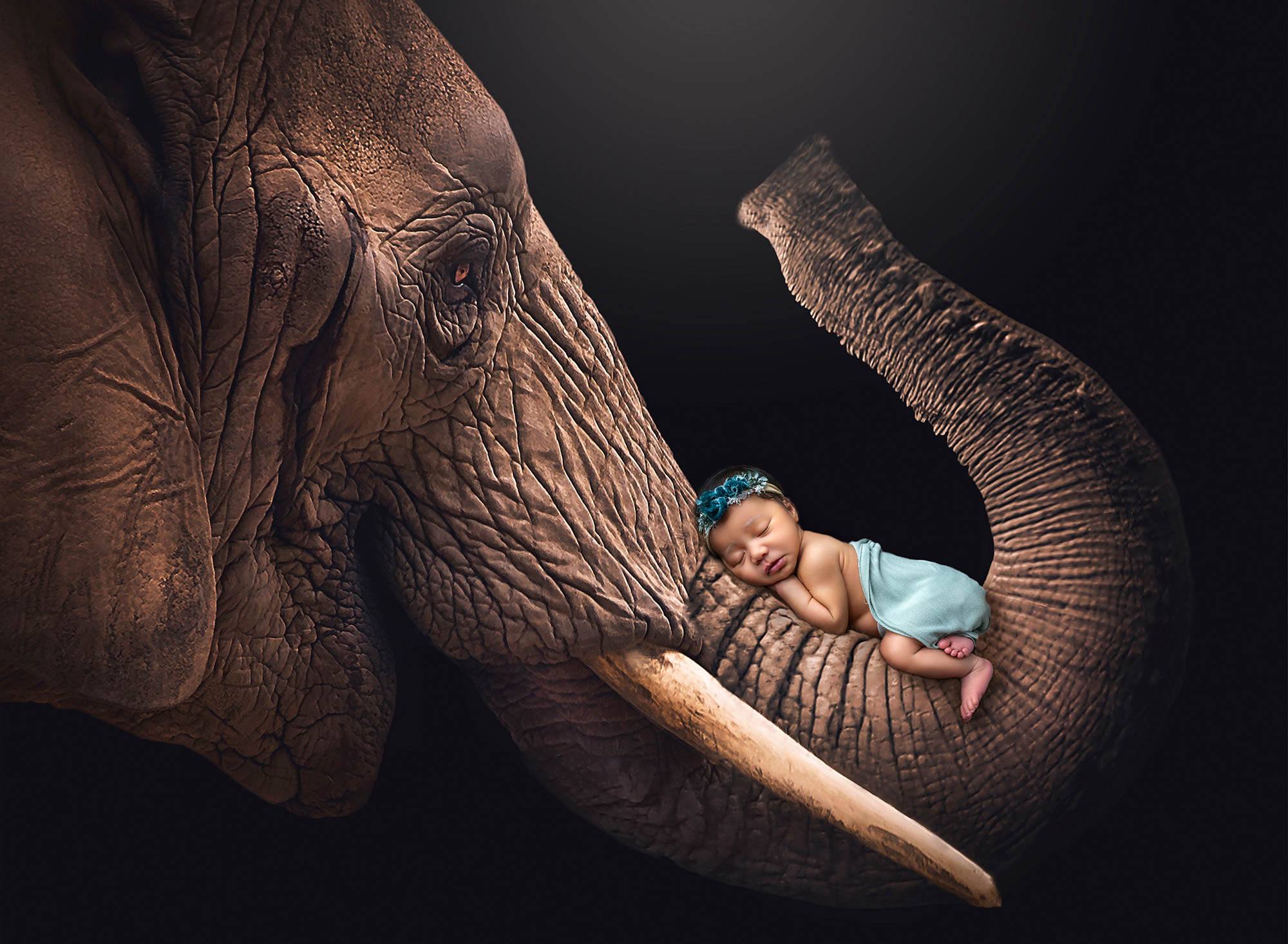 newborn baby girl sleeping on the trunk of an elephant