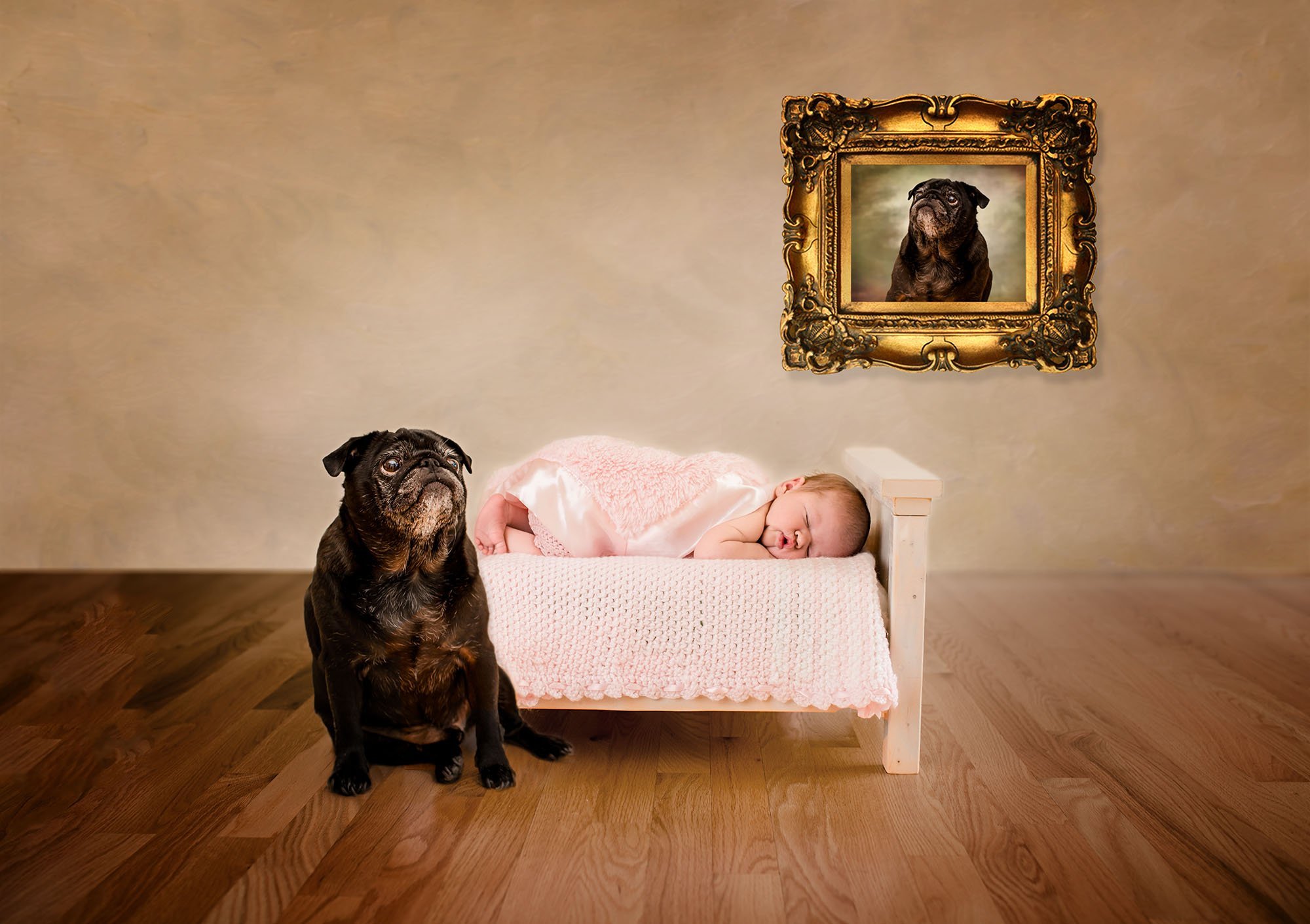 newborn baby sleeping in bed while pug dog looks lovingly on a photo of himself One Big Happy Photo