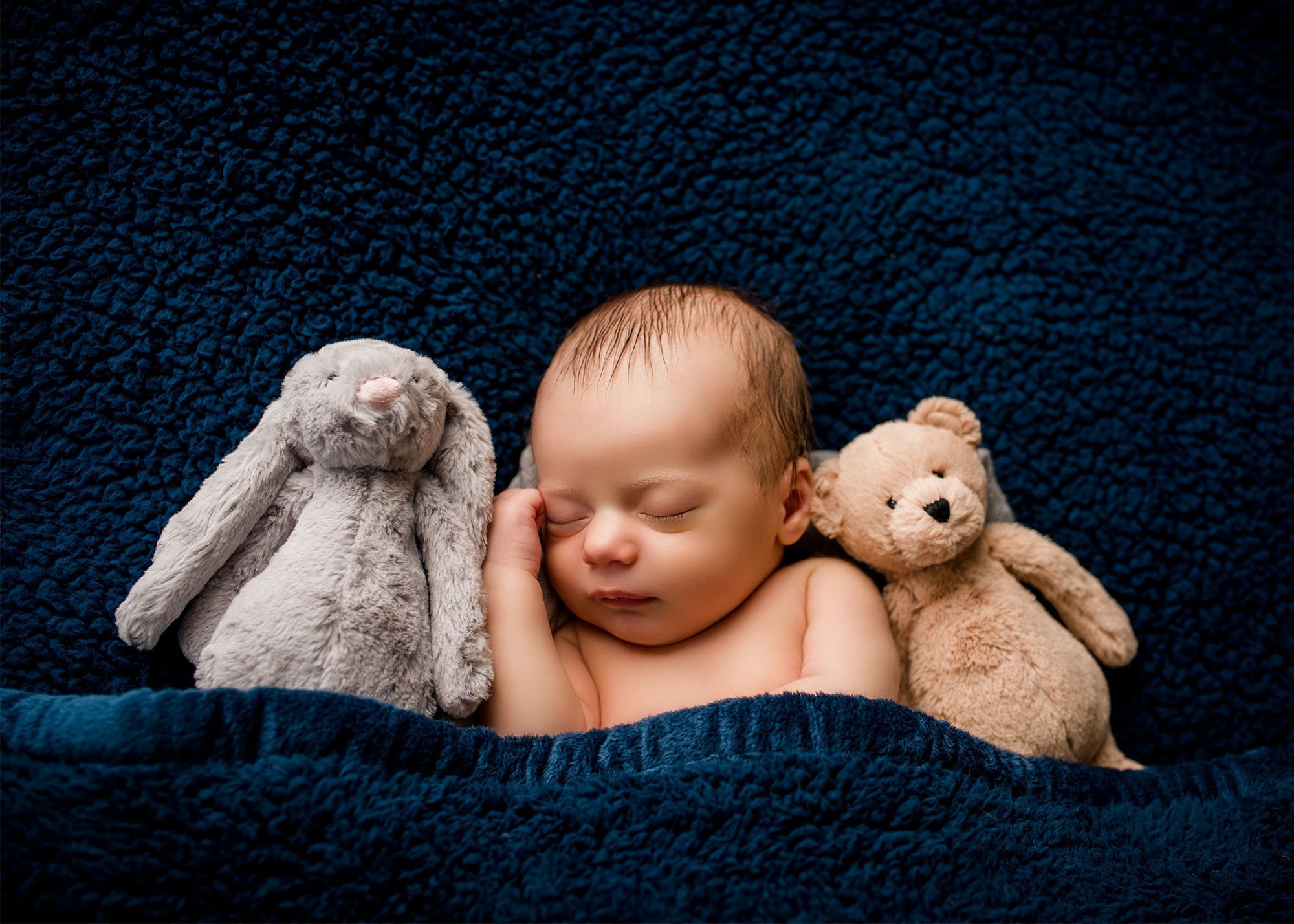 Newborn baby sleeping in blue blanket with his teddy and rabbit
