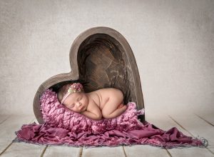 Posed Newborn Photography Manchester, CT